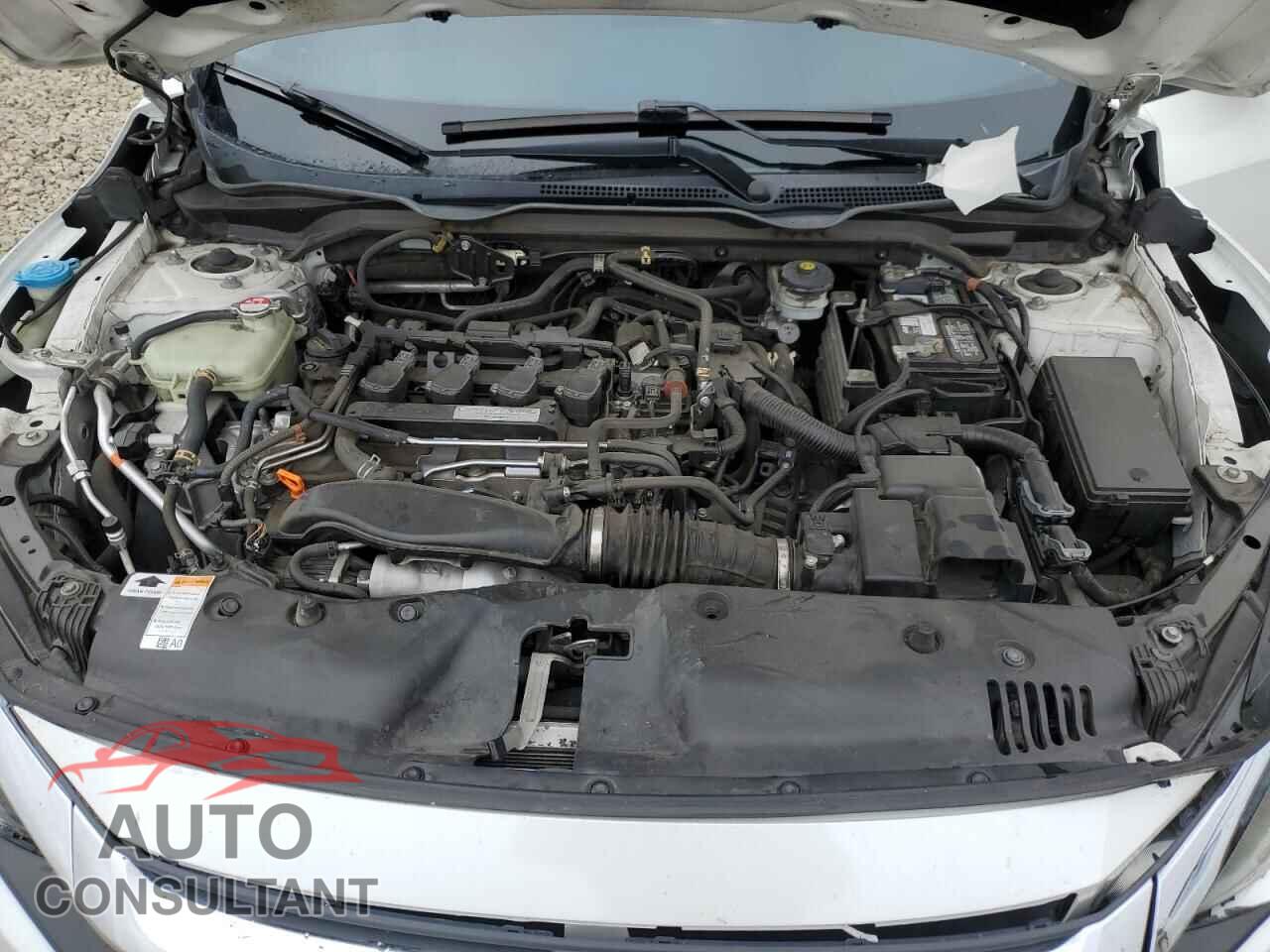 HONDA CIVIC 2017 - 19XFC1F73HE202975