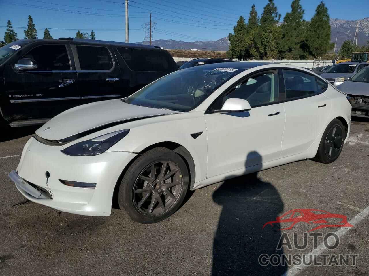 TESLA MODEL 3 2021 - 5YJ3E1EA7MF996703