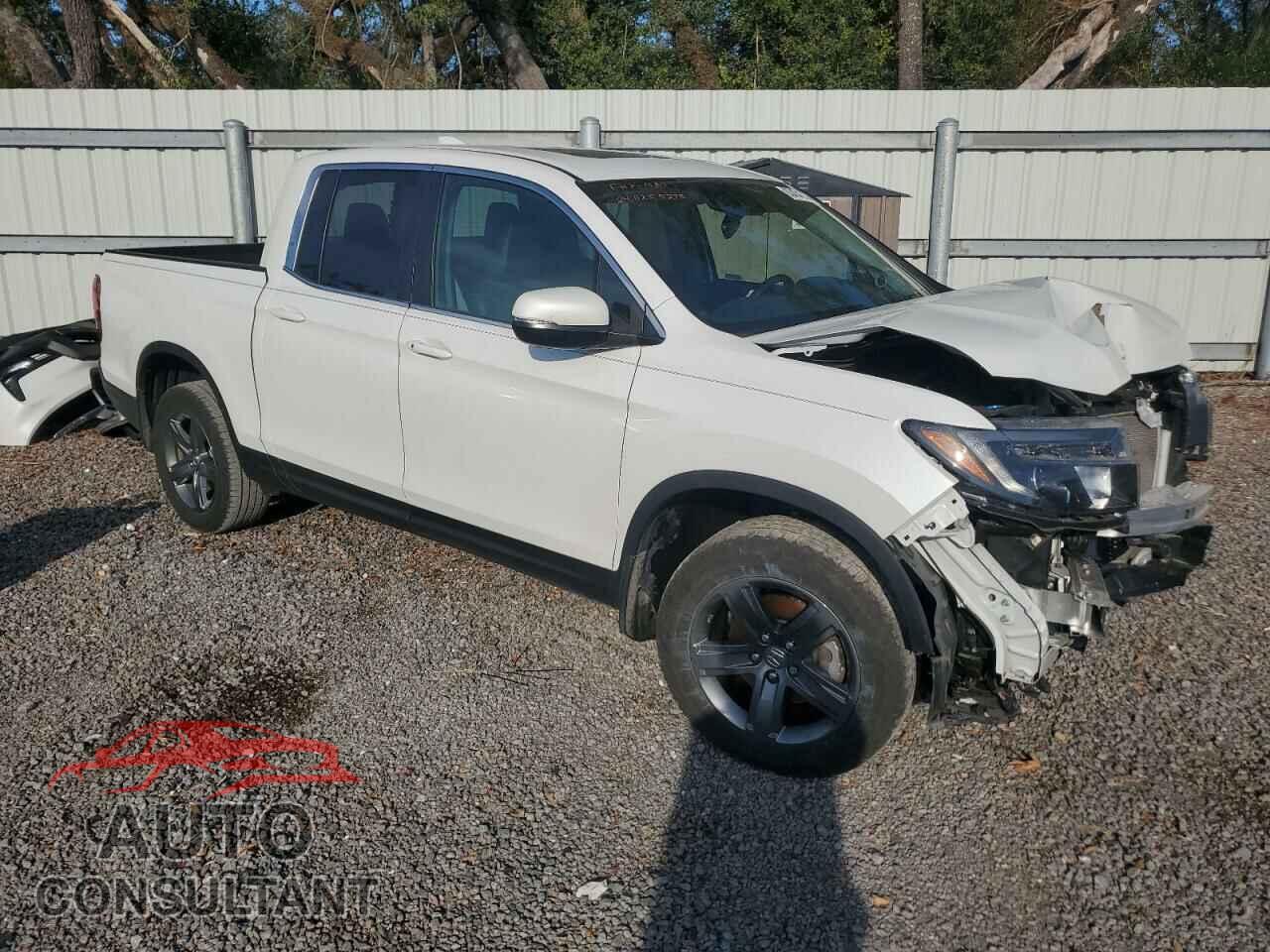 HONDA RIDGELINE 2023 - 5FPYK3F54PB017968