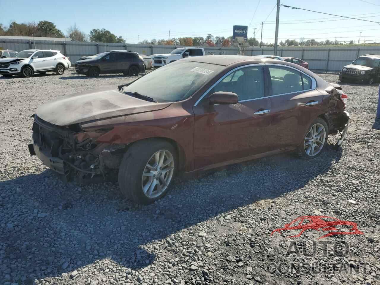 NISSAN MAXIMA 2009 - 1N4AA51E79C848161