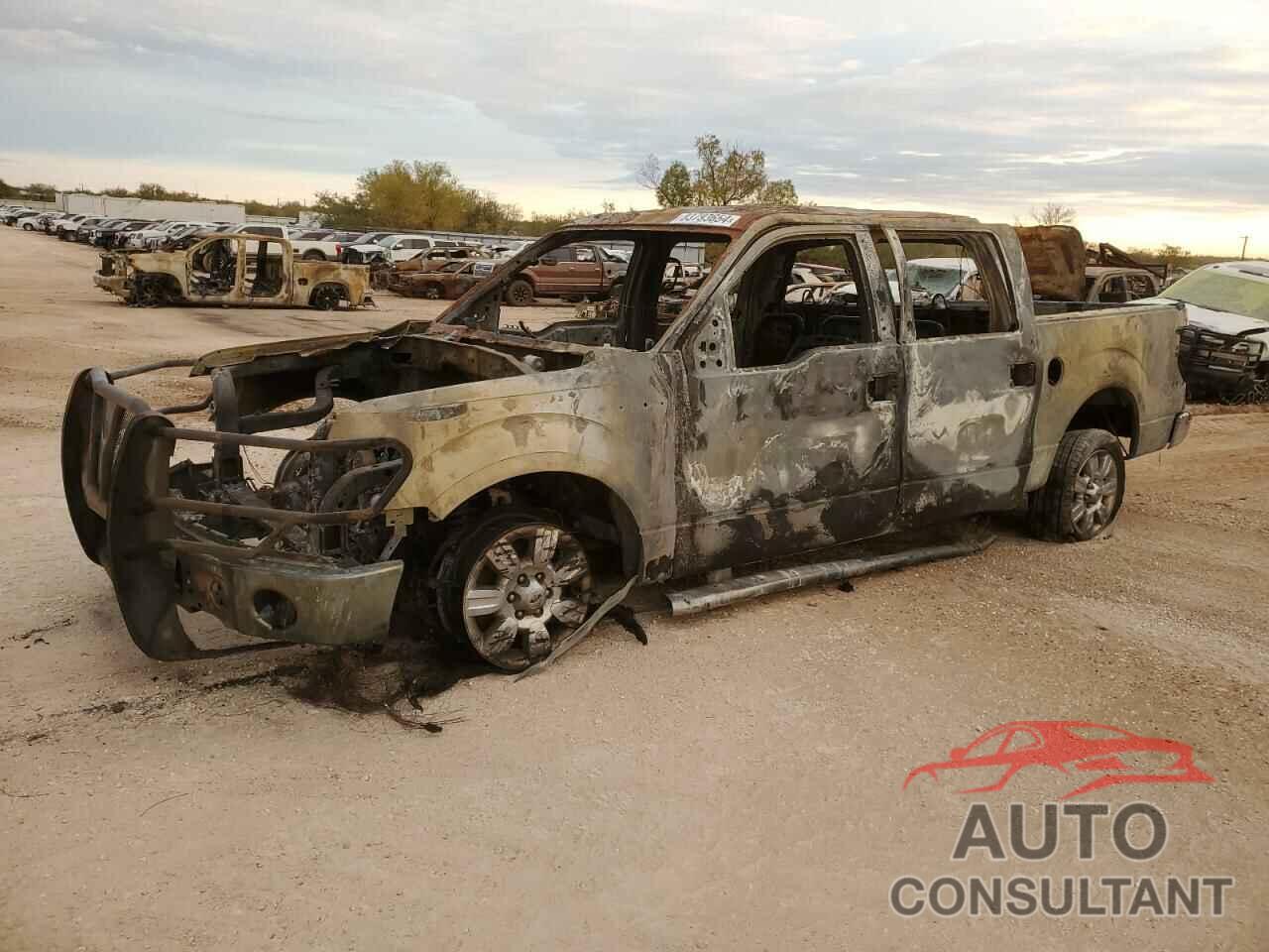 FORD F-150 2010 - 1FTEW1C87AFD42927