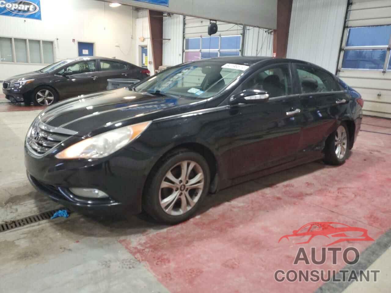 HYUNDAI SONATA 2011 - 5NPEC4AC8BH274615