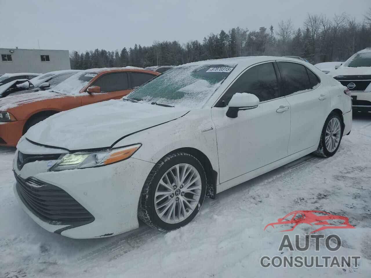 TOYOTA CAMRY 2019 - 4T1B21HK6KU517843