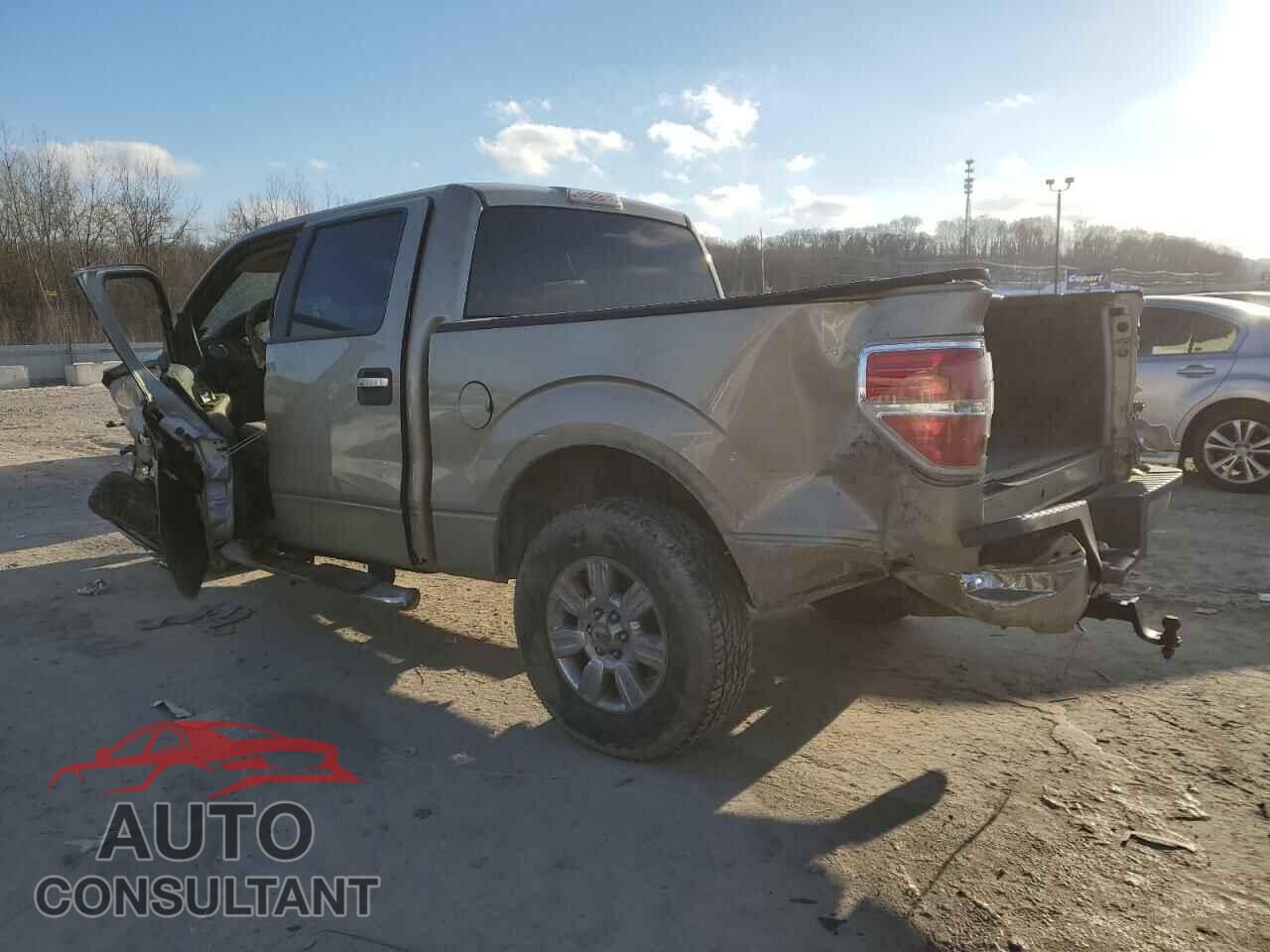 FORD F-150 2010 - 1FTEW1C8XAFA20654