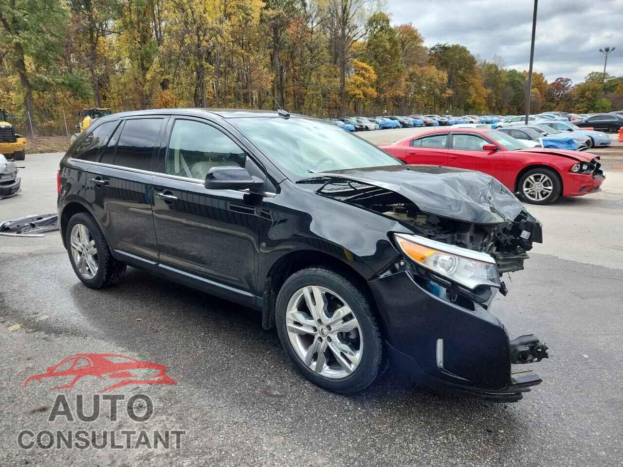 FORD EDGE 2011 - 2FMDK3KC0BBB65399