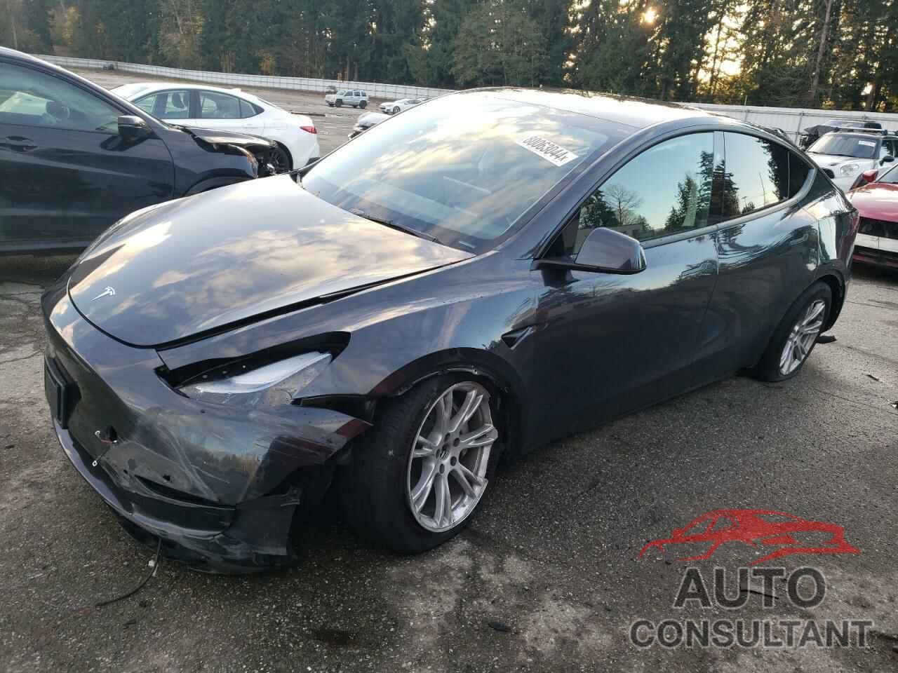 TESLA MODEL Y 2024 - 7SAYGAEE7RF987089