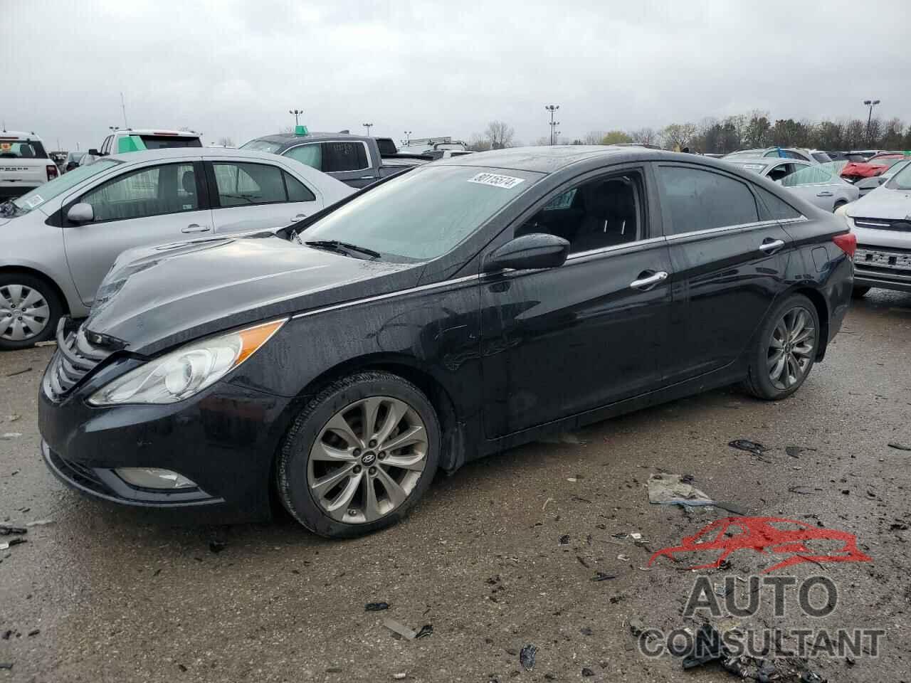 HYUNDAI SONATA 2011 - 5NPEC4AB3BH316373