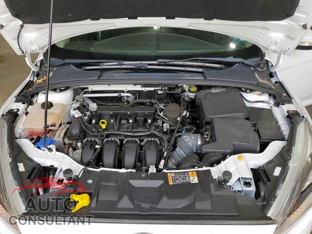 FORD FOCUS 2016 - 1FADP3F28GL206785