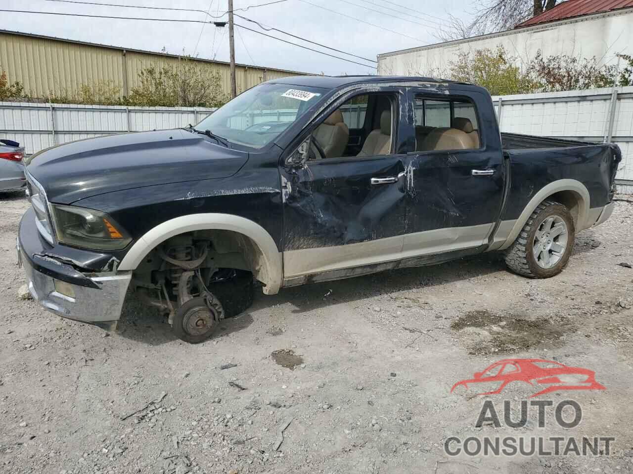 DODGE All Models 2009 - 1D3HV13T09S804985