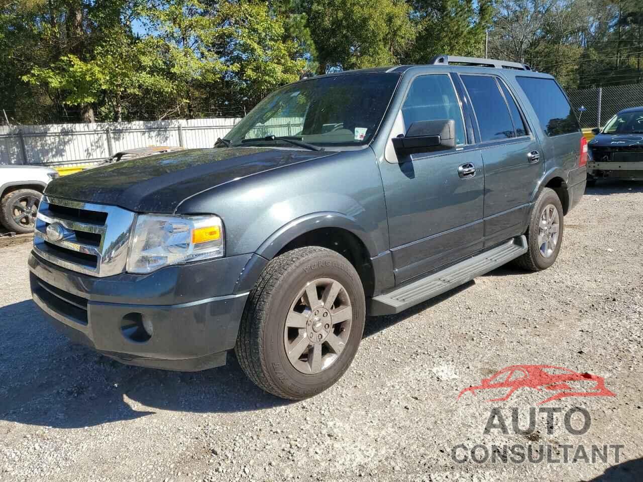 FORD EXPEDITION 2009 - 1FMFU15579LA02294