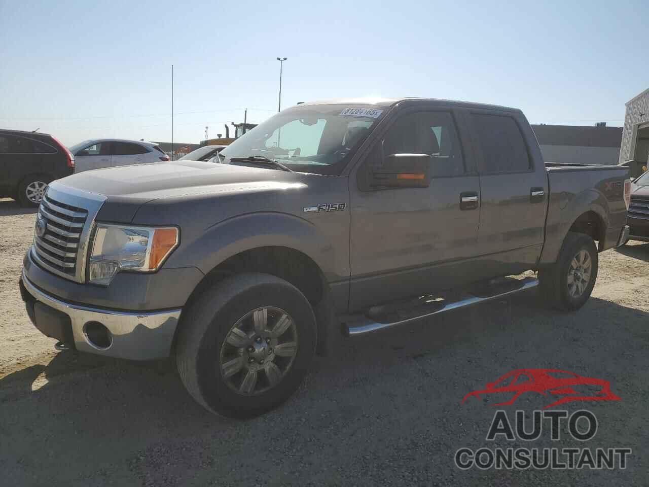 FORD F-150 2010 - 1FTFW1EV9AFA38750