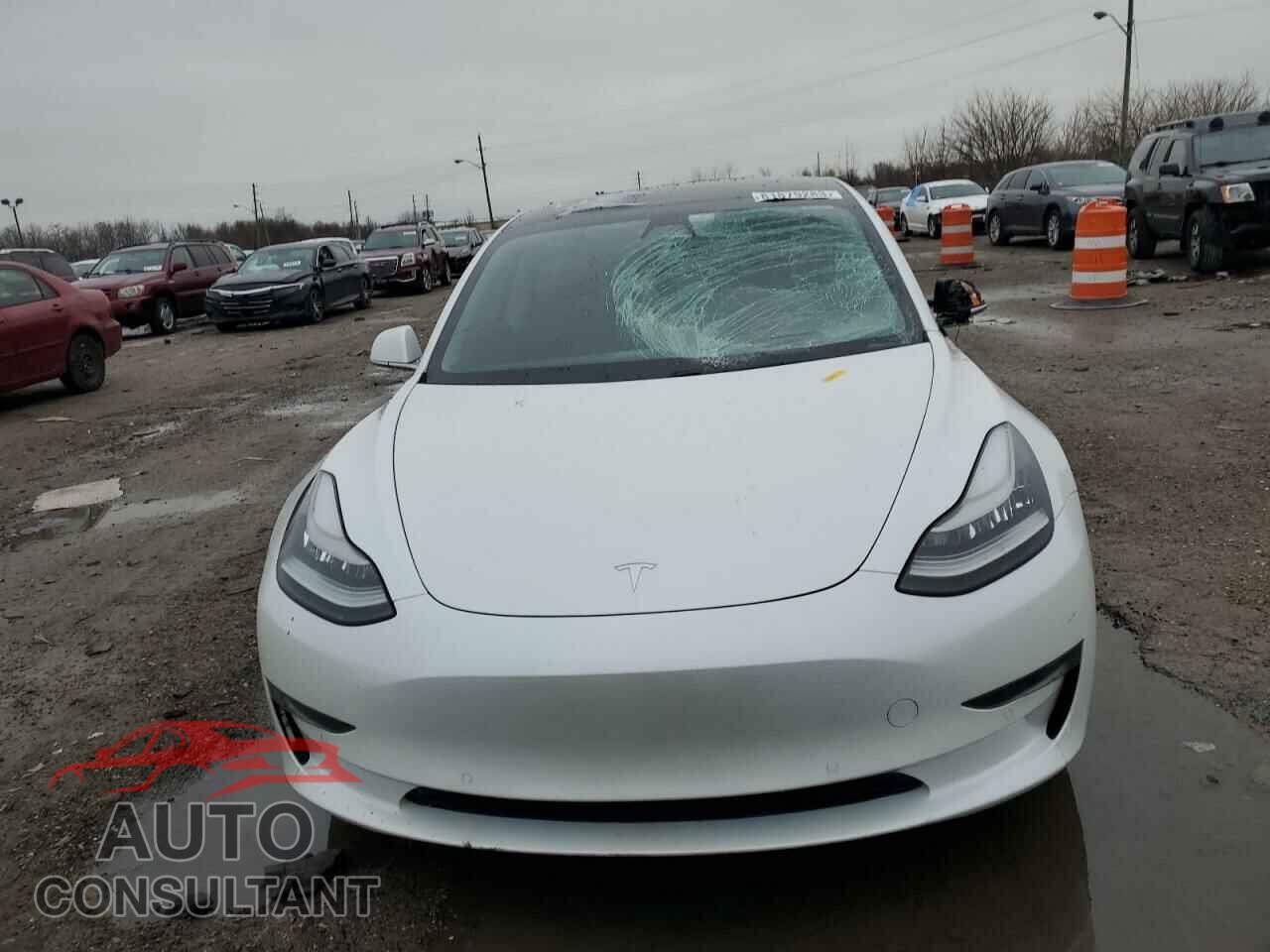 TESLA MODEL 3 2019 - 5YJ3E1EB9KF469834
