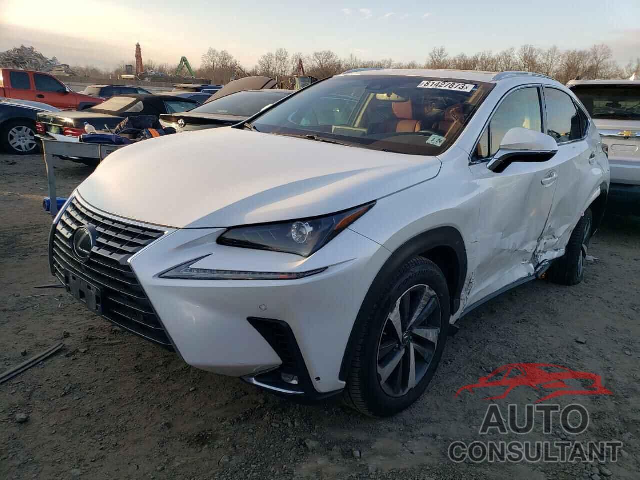 LEXUS NX 2019 - JTJBARBZ0K2208258