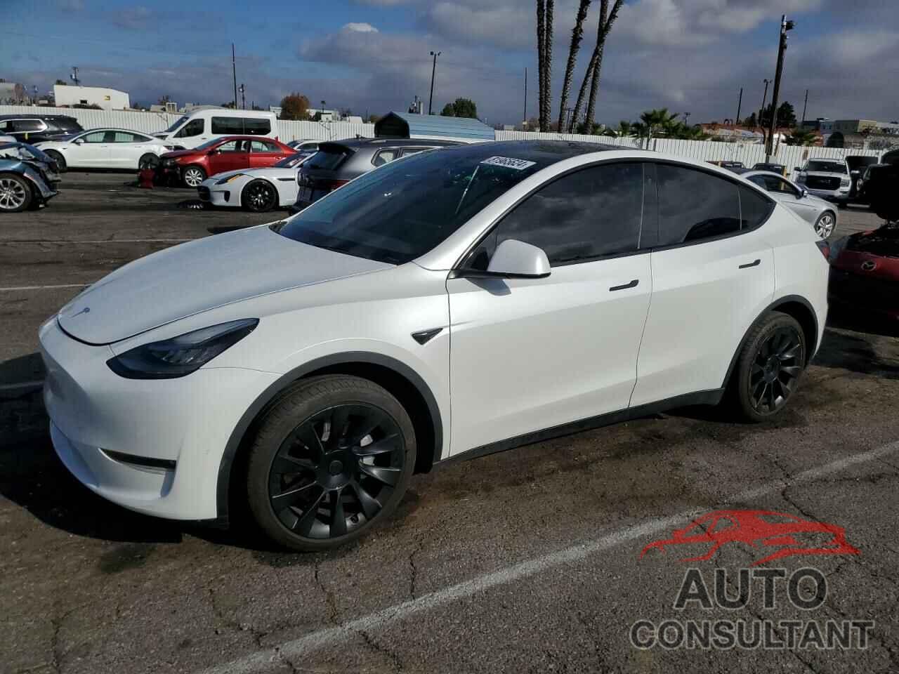 TESLA MODEL Y 2020 - 5YJYGDEE9LF055305