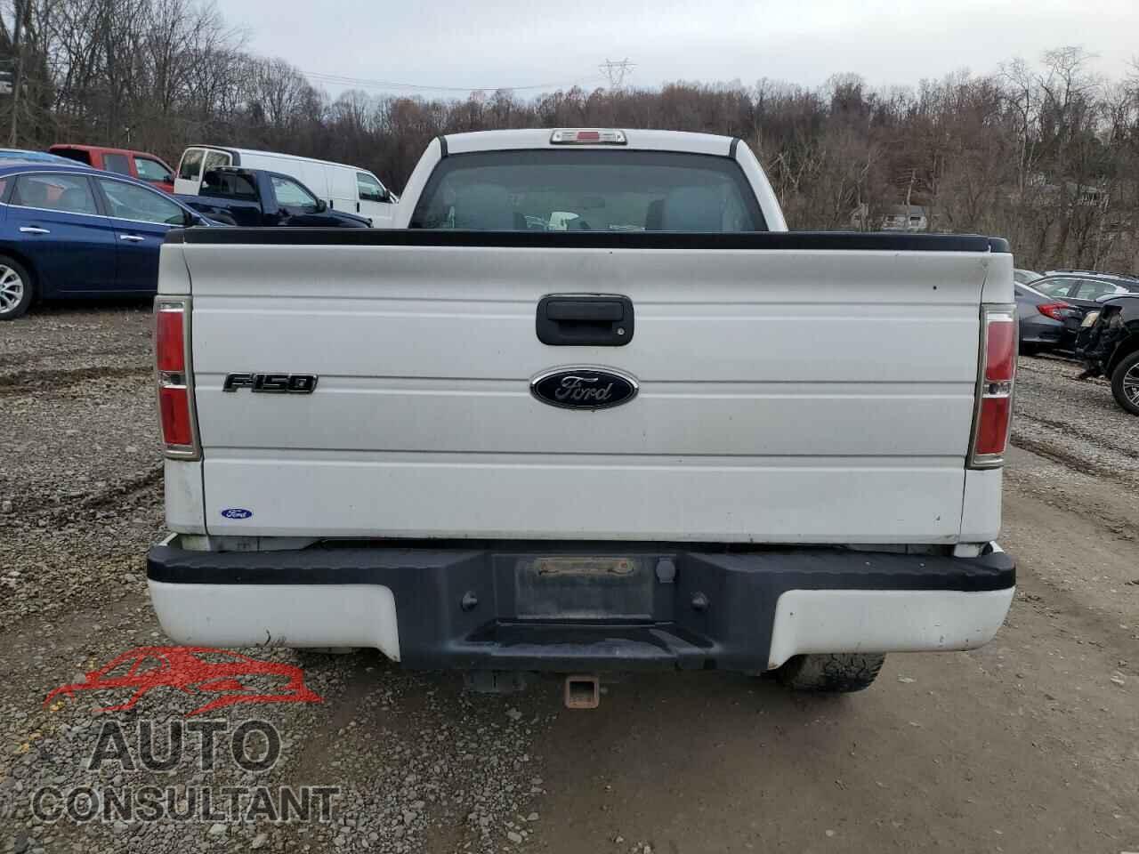 FORD F-150 2013 - 1FTFX1EF9DFD70309