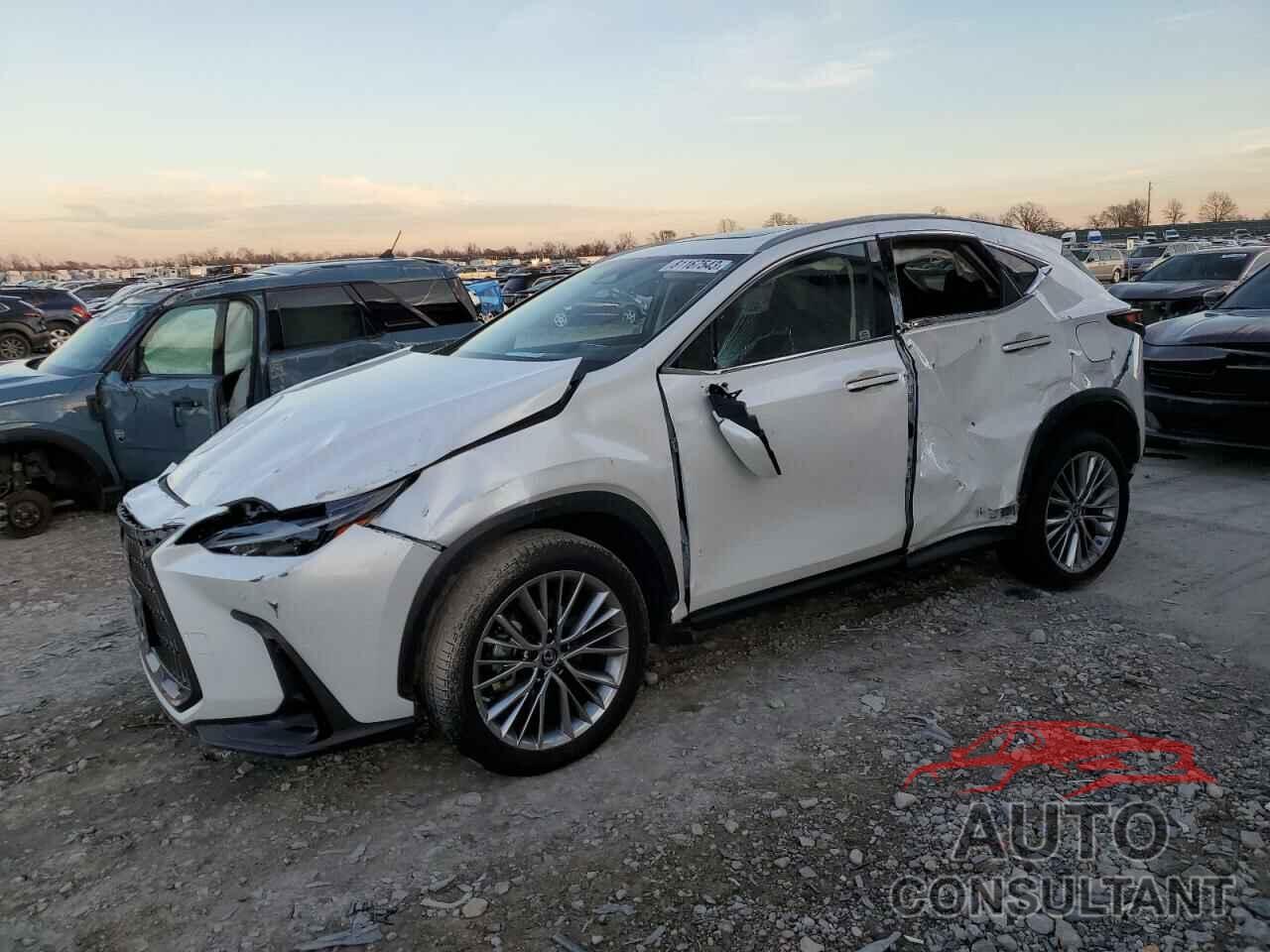 LEXUS NX 350 2022 - JTJGGCEZ0N5000641