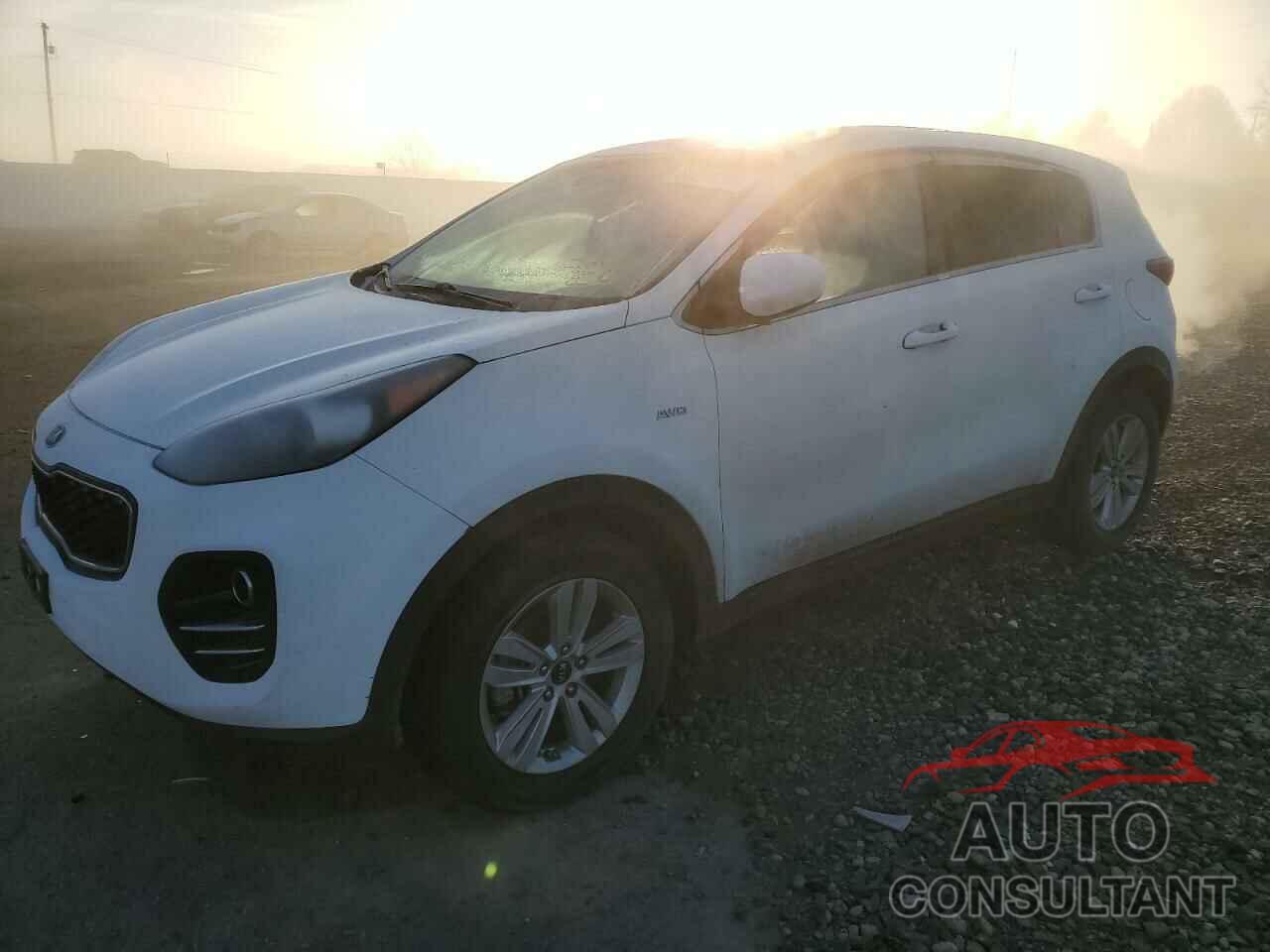 KIA SPORTAGE 2017 - KNDPMCAC7H7276255
