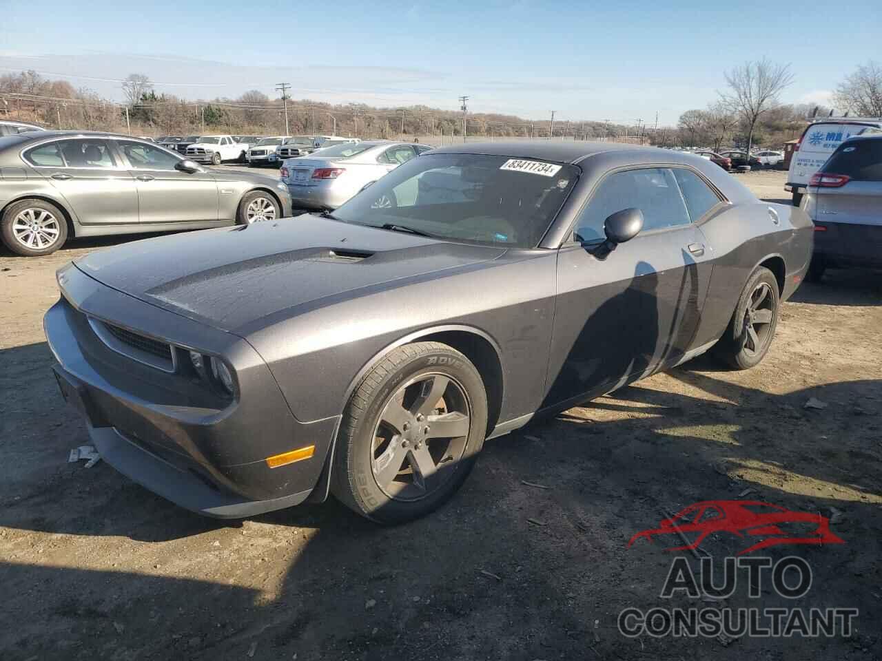 DODGE CHALLENGER 2013 - 2C3CDYAG4DH646076