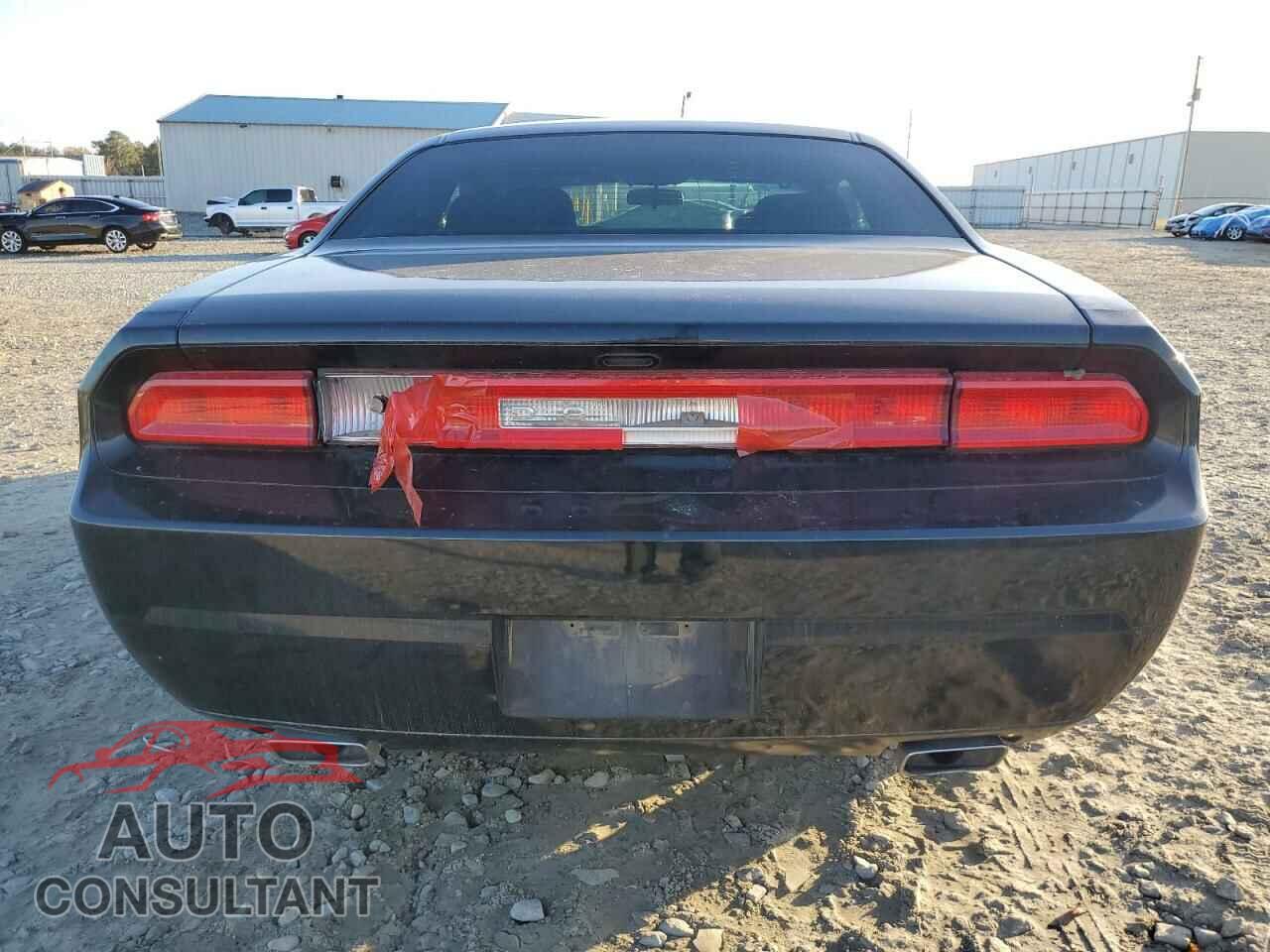 DODGE CHALLENGER 2013 - 2C3CDYAG2DH695793