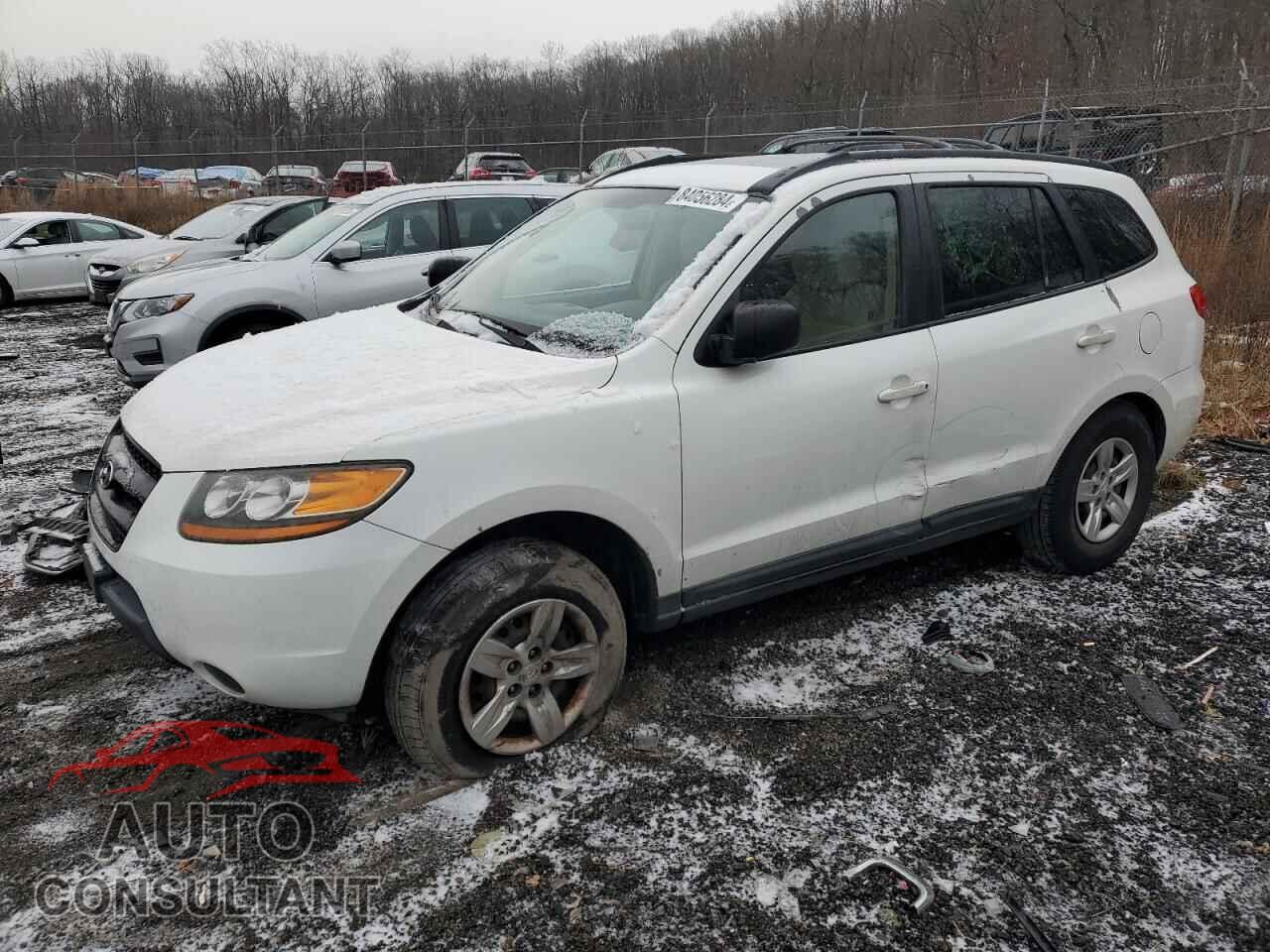 HYUNDAI SANTA FE 2009 - 5NMSG13D09H310221