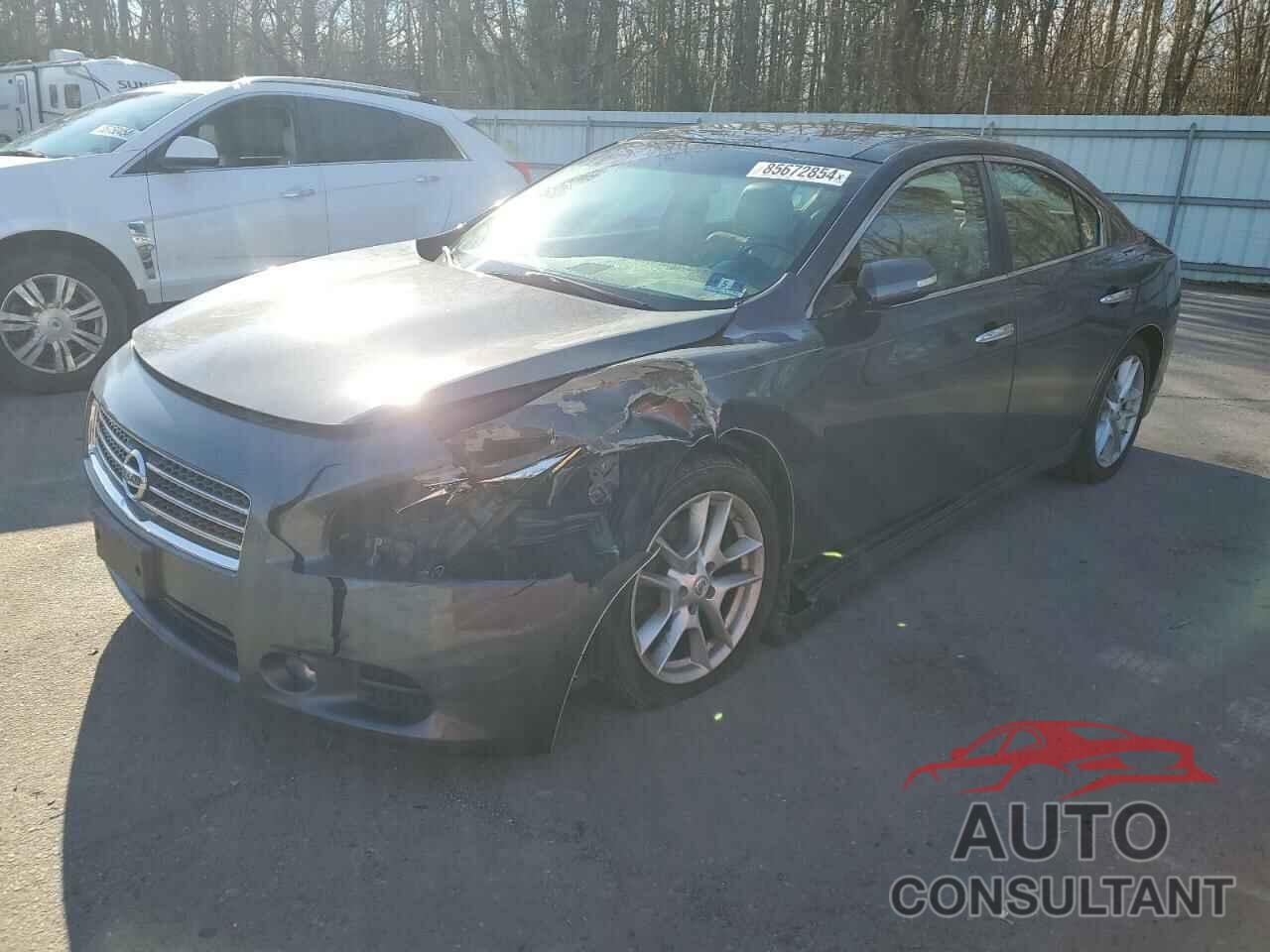 NISSAN MAXIMA 2009 - 1N4AA51E79C833191