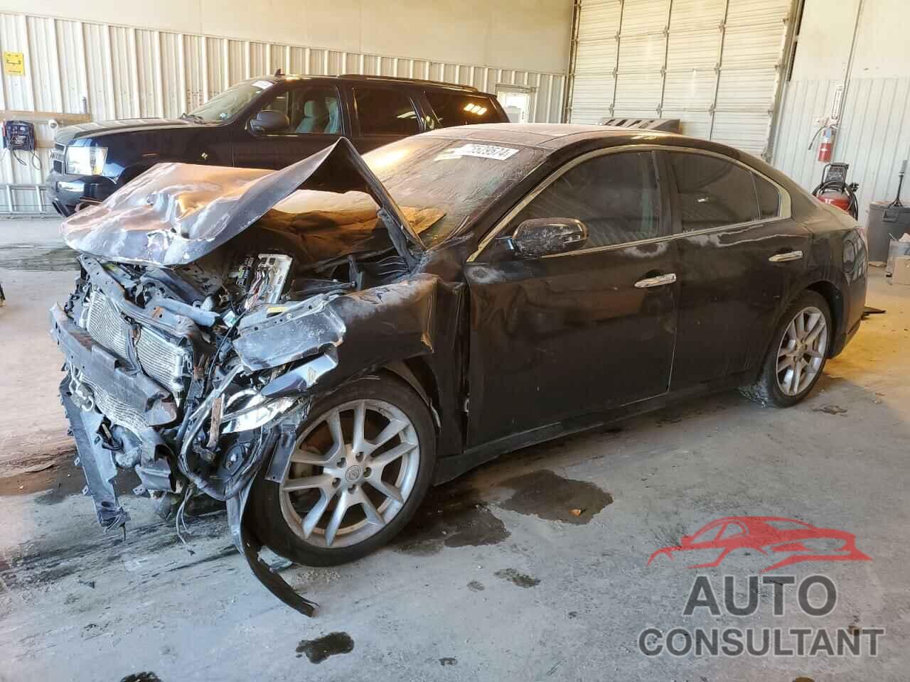 NISSAN MAXIMA 2011 - 1N4AA5AP3BC853705