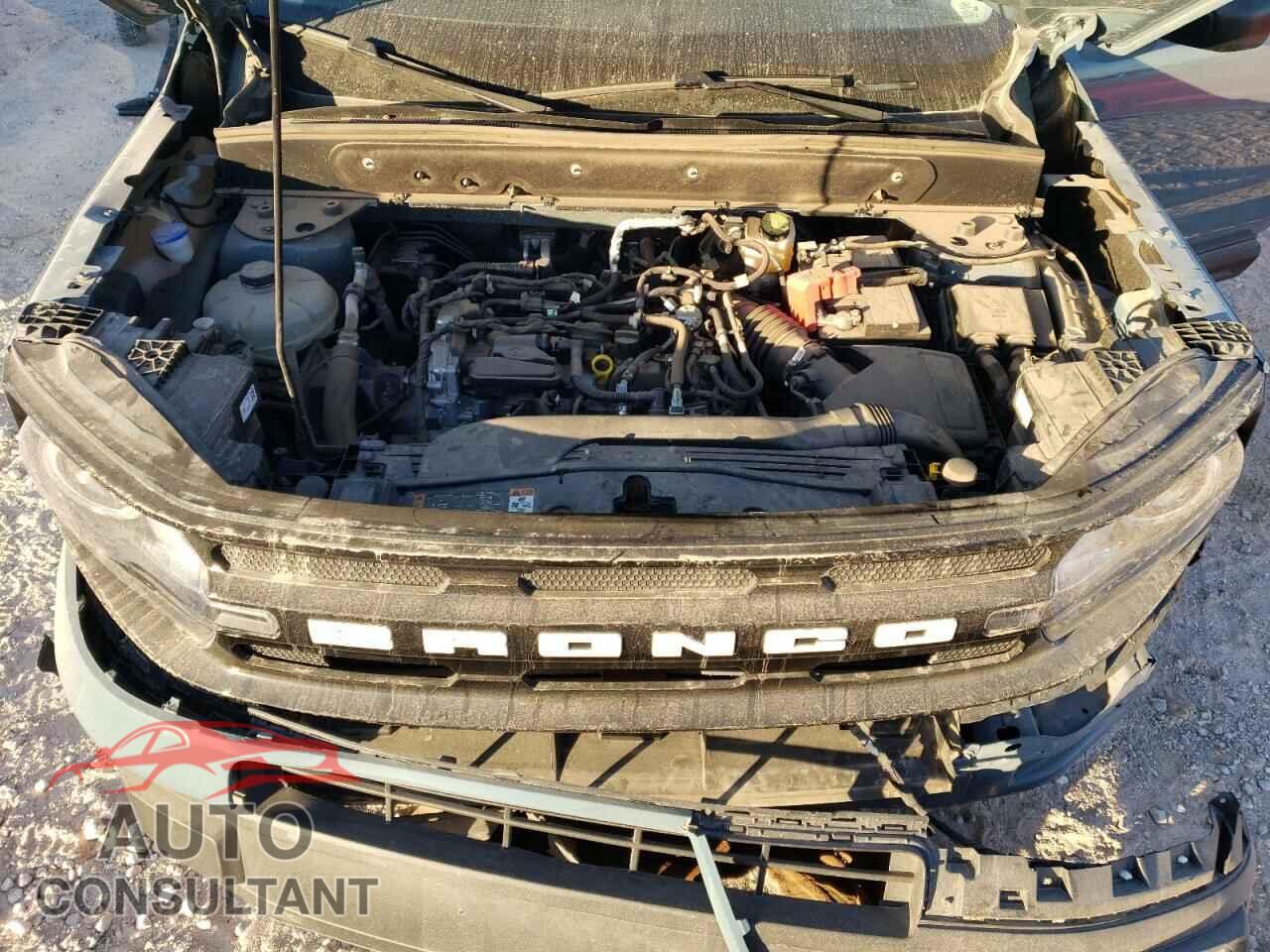 FORD BRONCO 2023 - 3FMCR9C68PRD92013