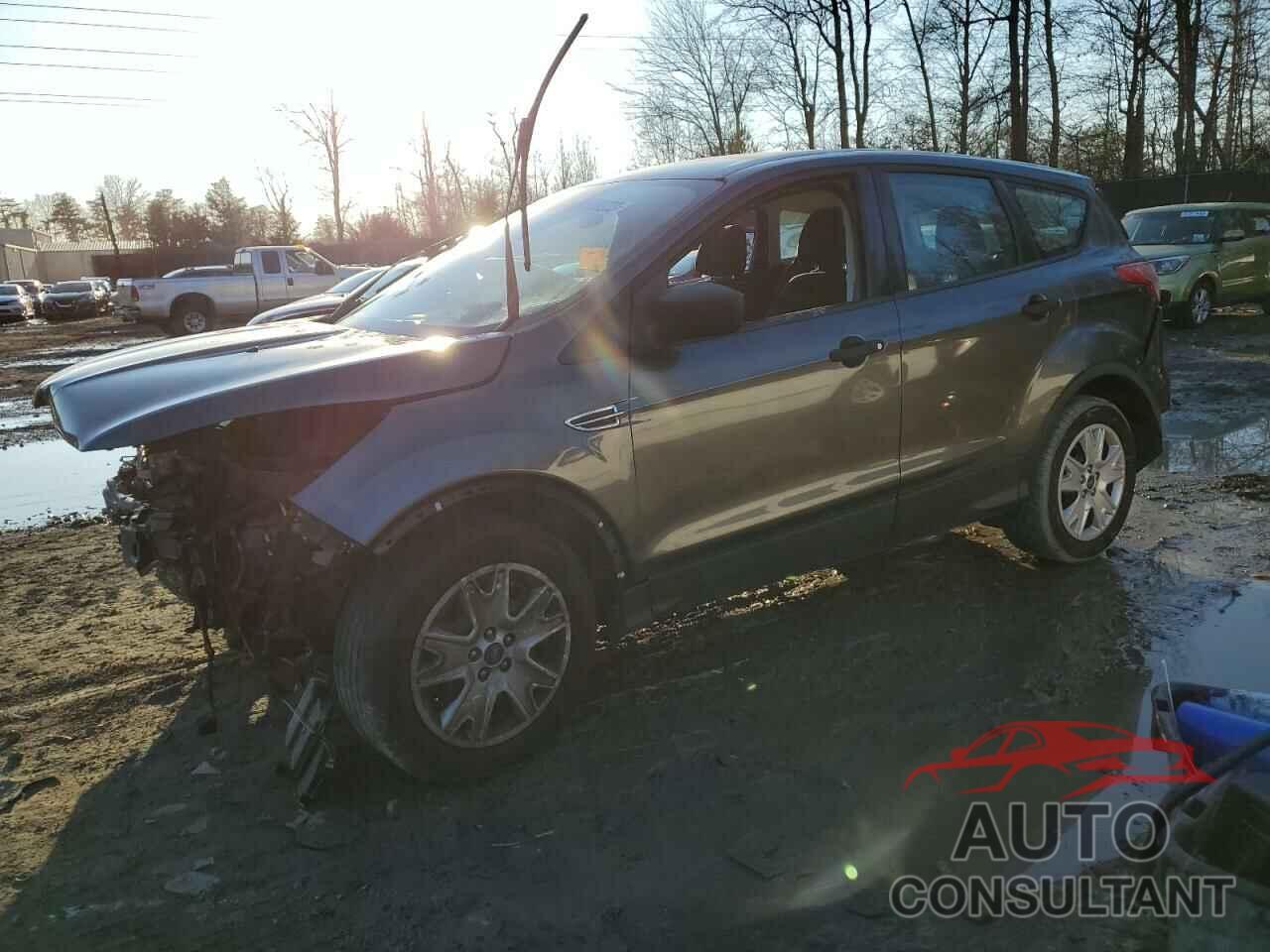 FORD ESCAPE 2016 - 1FMCU0F70GUA04666