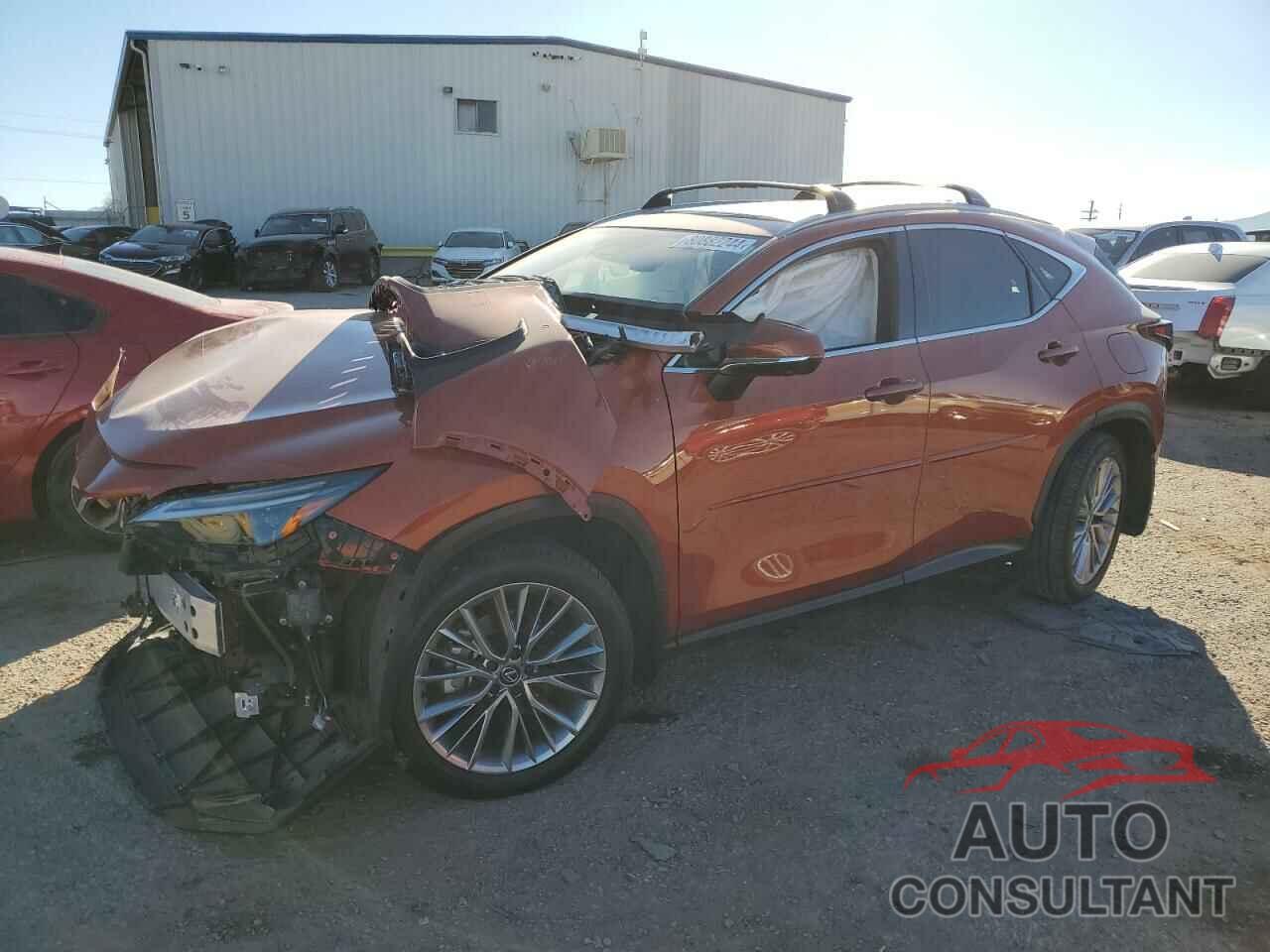 LEXUS NX 350H BA 2024 - JTJHKCEZ4R2031854