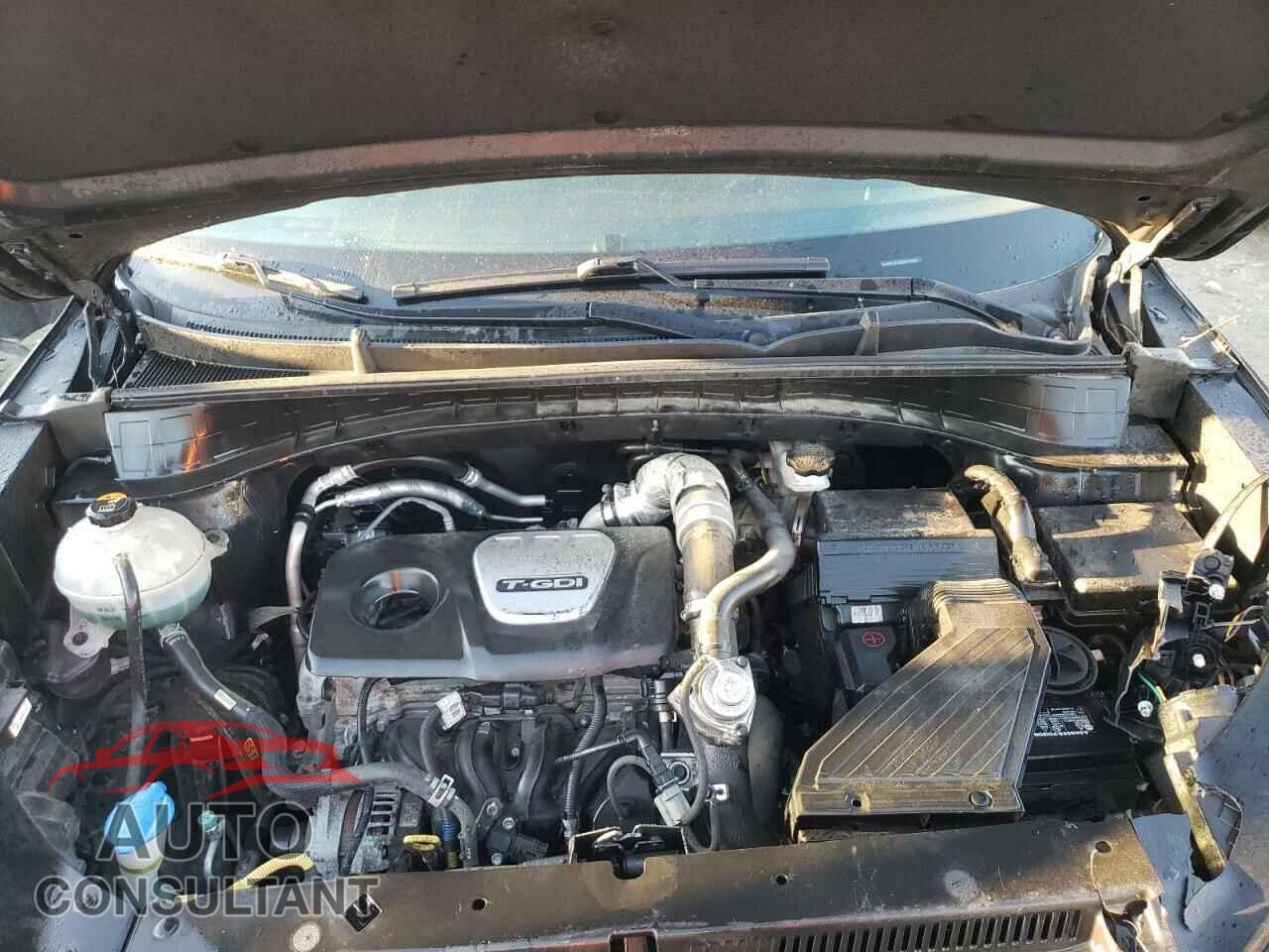 HYUNDAI TUCSON 2016 - KM8J3CA21GU070845