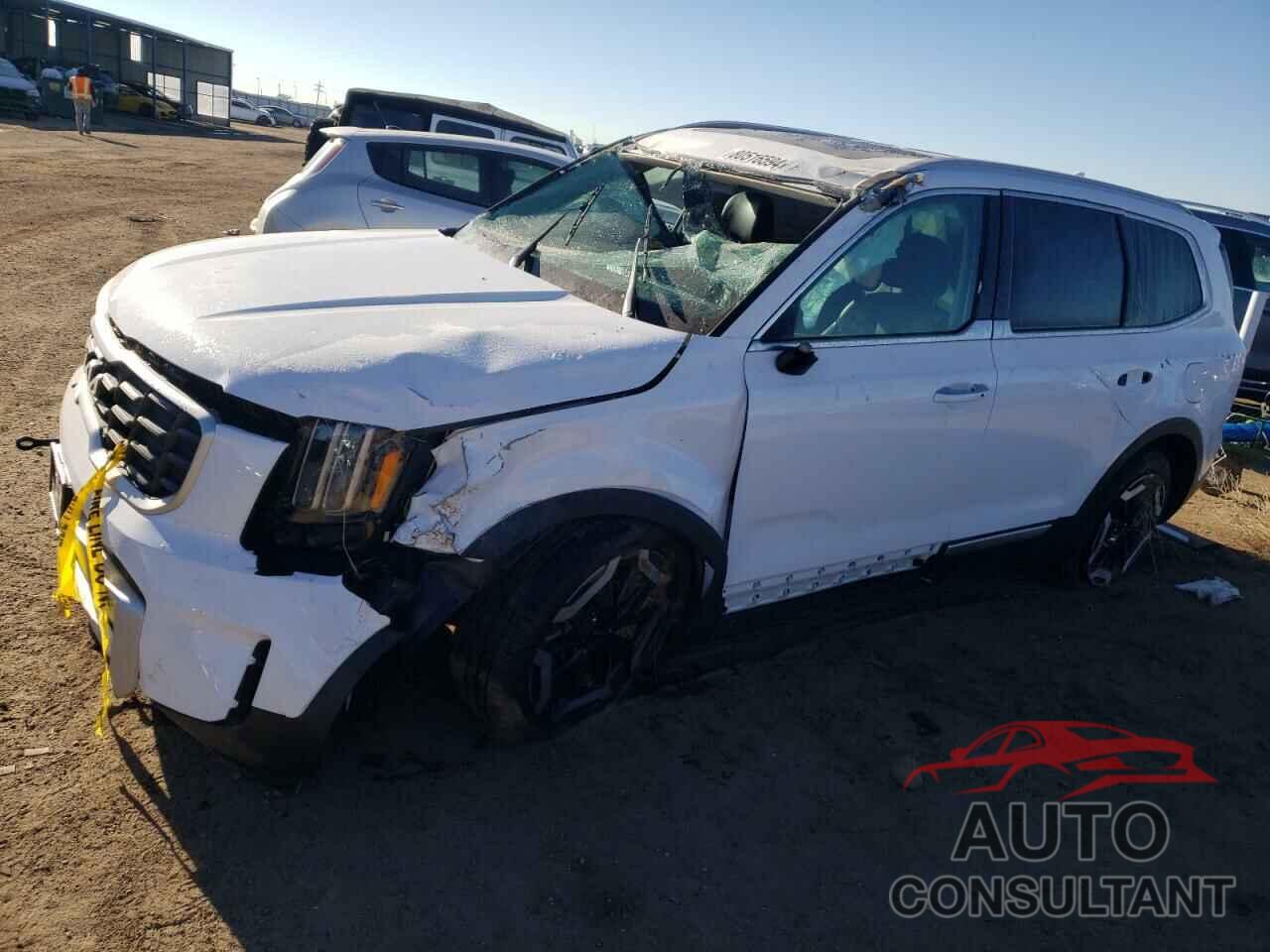 KIA TELLURIDE 2024 - 5XYP6DGCXRG558286