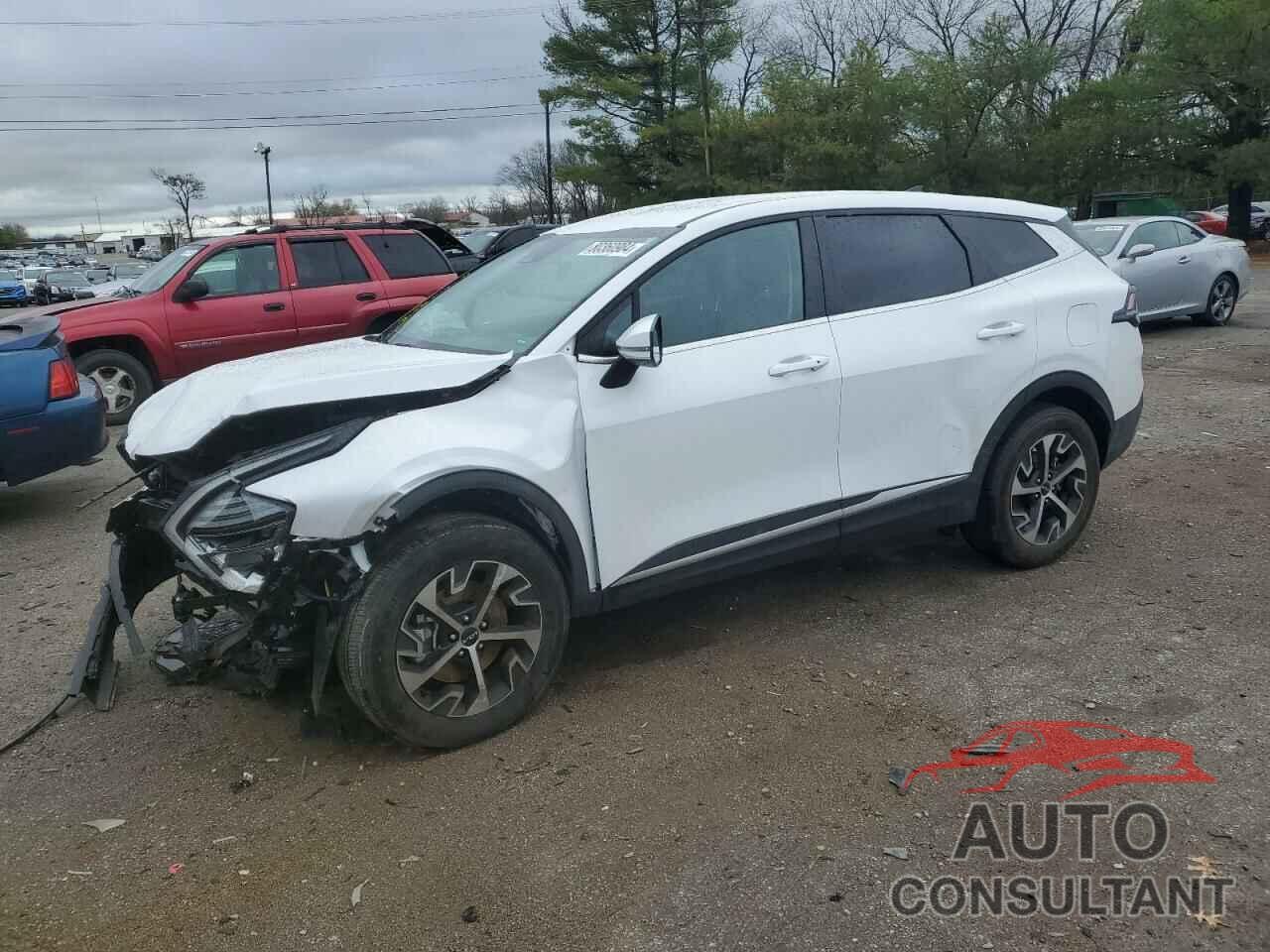 KIA SPORTAGE 2024 - 5XYK33DF3RG192070