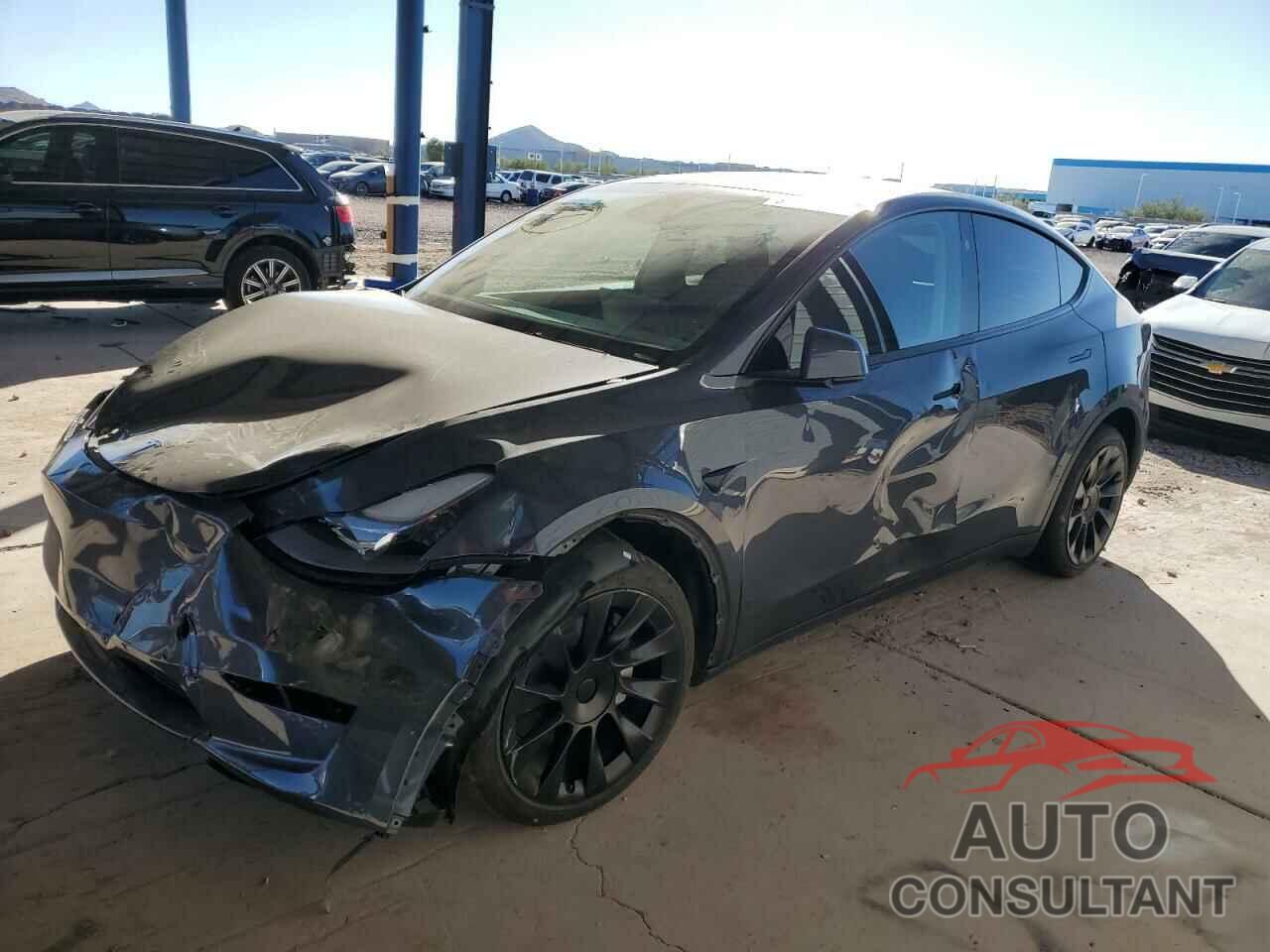 TESLA MODEL Y 2023 - 7SAYGDEE0PF909431