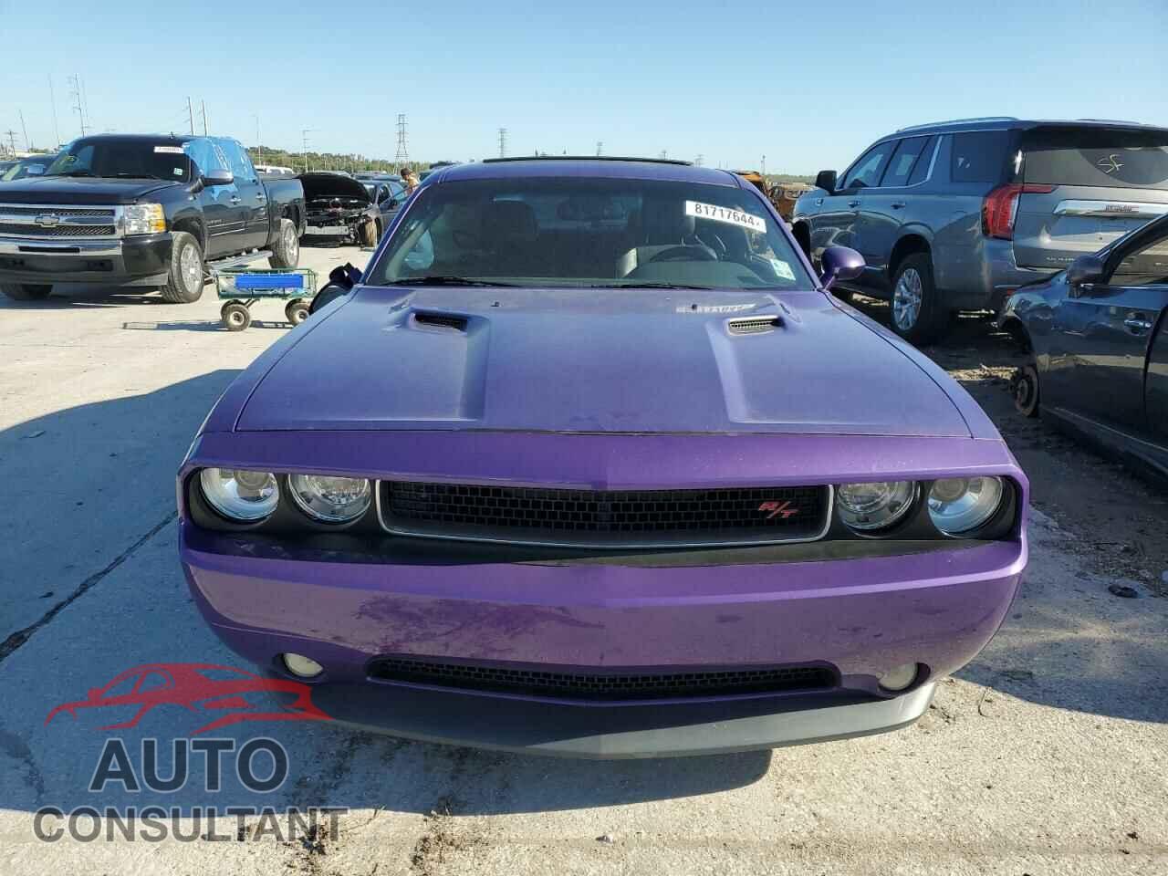 DODGE CHALLENGER 2013 - 2C3CDYBTXDH681863