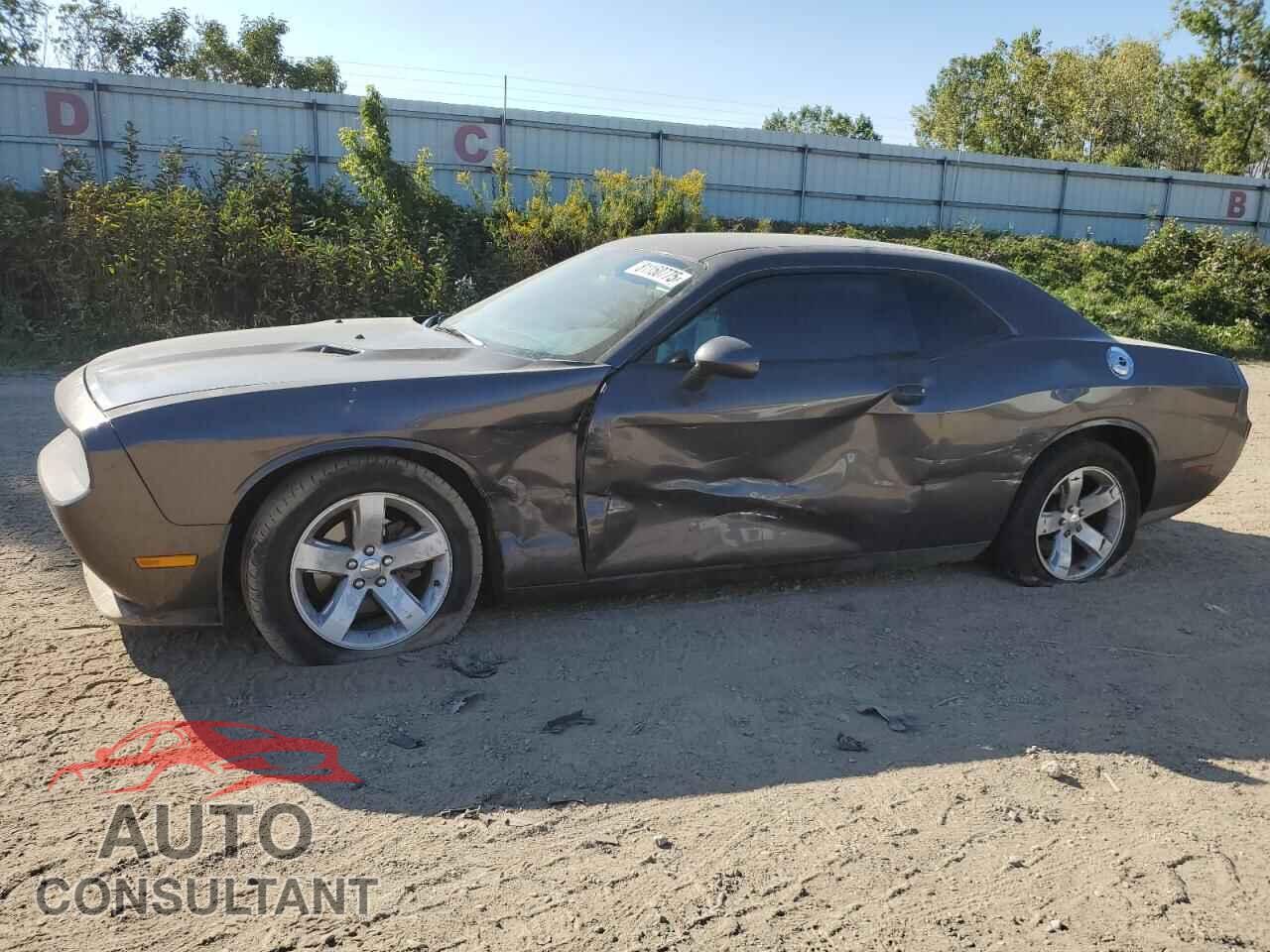 DODGE CHALLENGER 2013 - 2C3CDYAG2DH662938