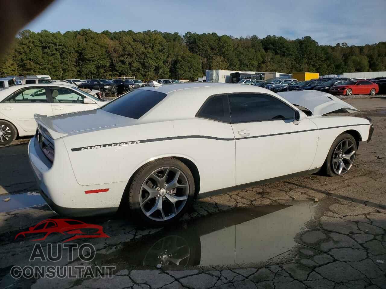 DODGE CHALLENGER 2017 - 2C3CDZAG0HH502343