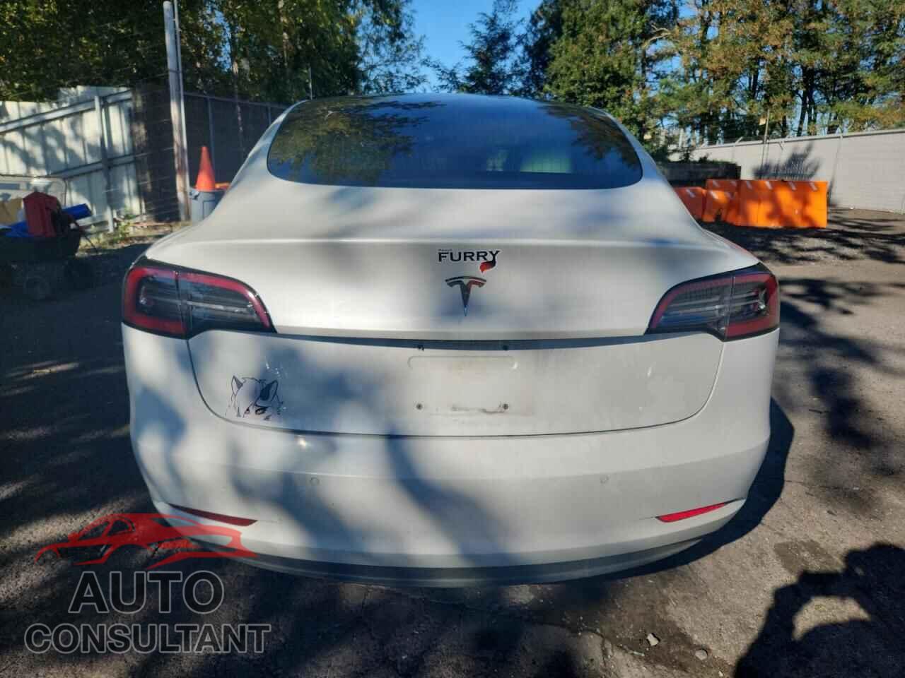 TESLA MODEL 3 2018 - 5YJ3E1EA4JF169480