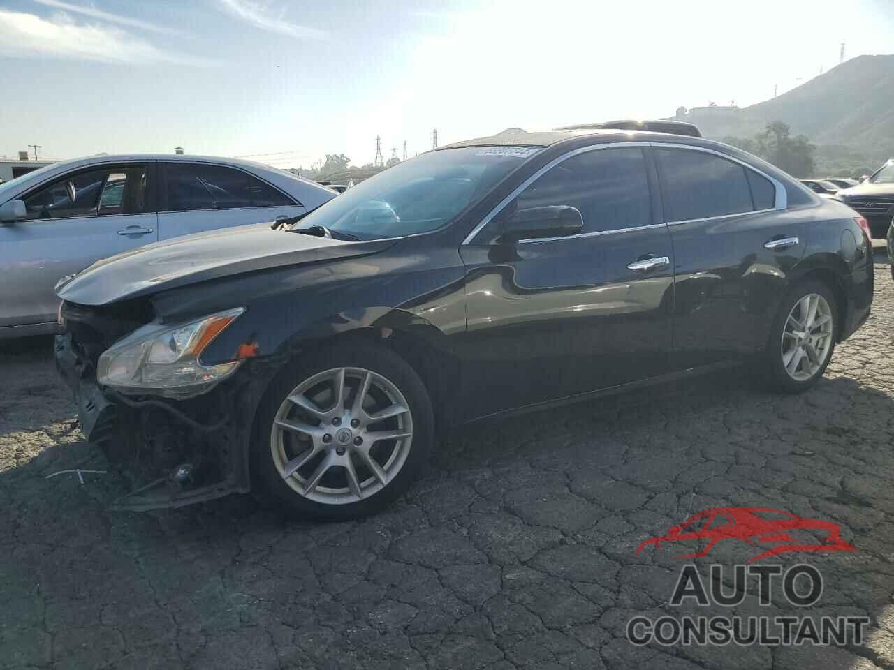 NISSAN MAXIMA 2011 - 1N4AA5AP8BC853988