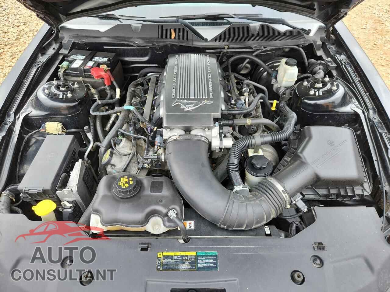 FORD MUSTANG 2010 - 1ZVBP8CH9A5146998