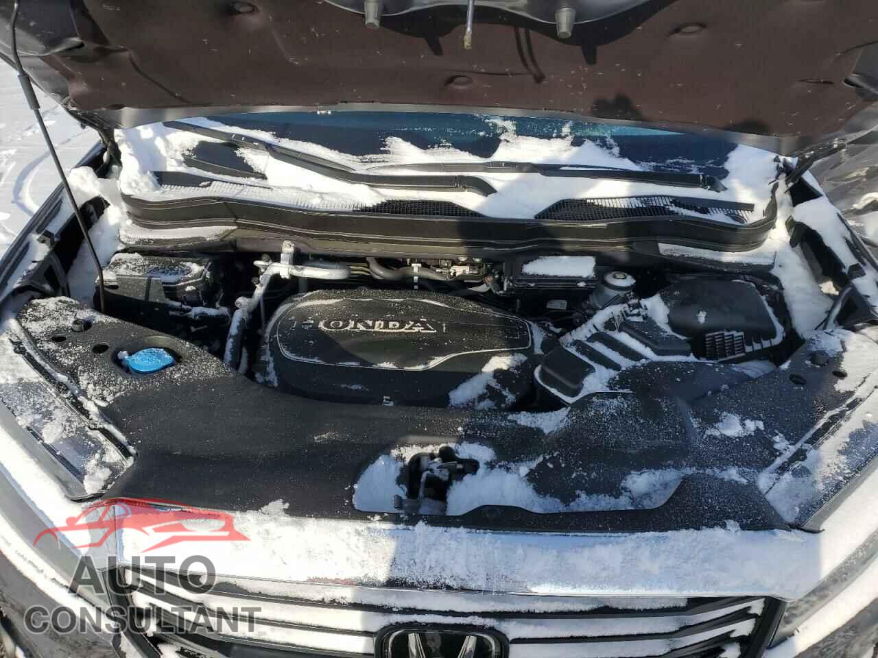 HONDA RIDGELINE 2023 - 5FPYK3F51PB046473