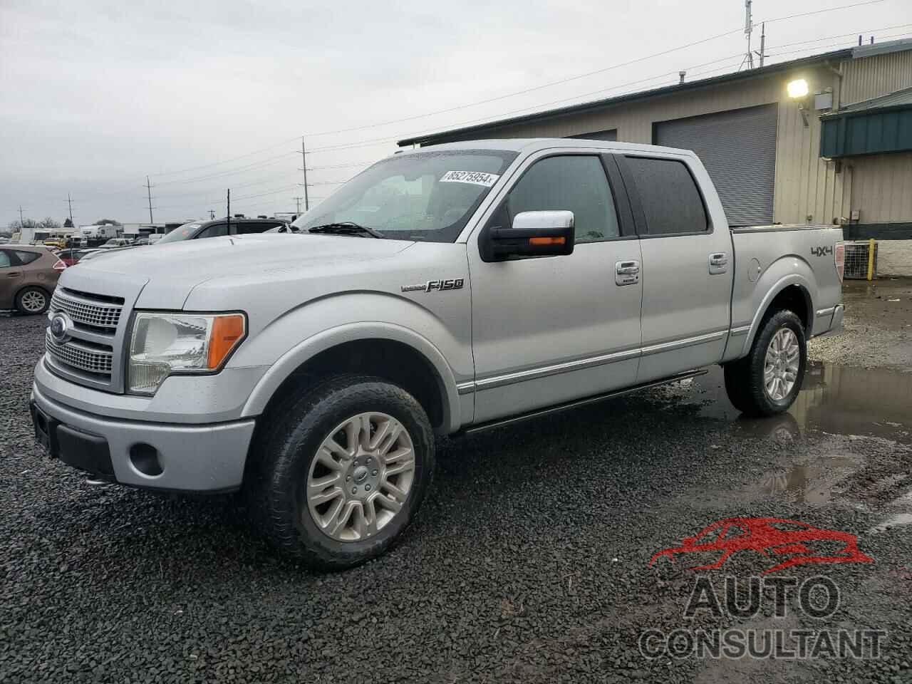 FORD F-150 2010 - 1FTFW1EV1AFA09775