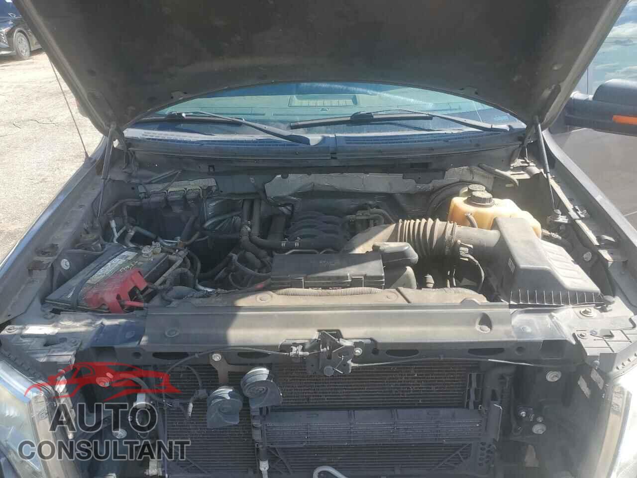 FORD F-150 2013 - 1FTFW1CF5DFD23171