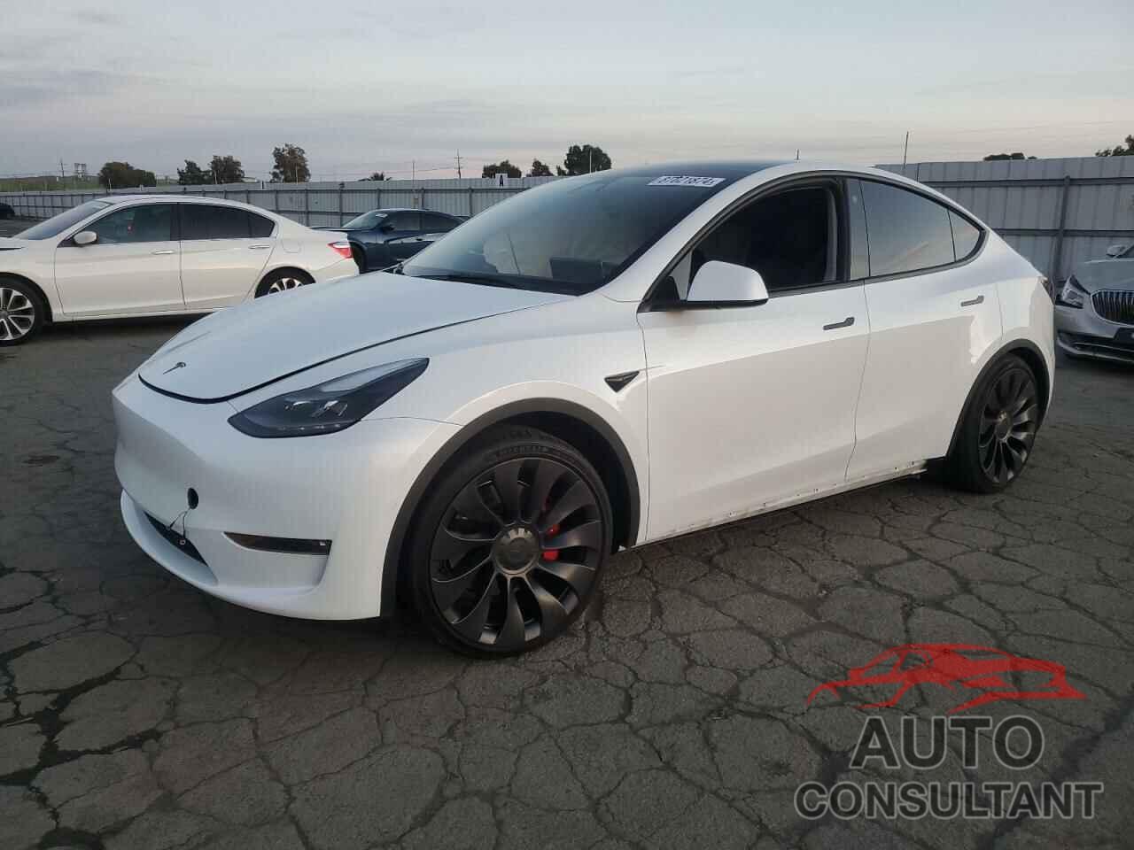 TESLA MODEL Y 2022 - 7SAYGDEF2NF388346