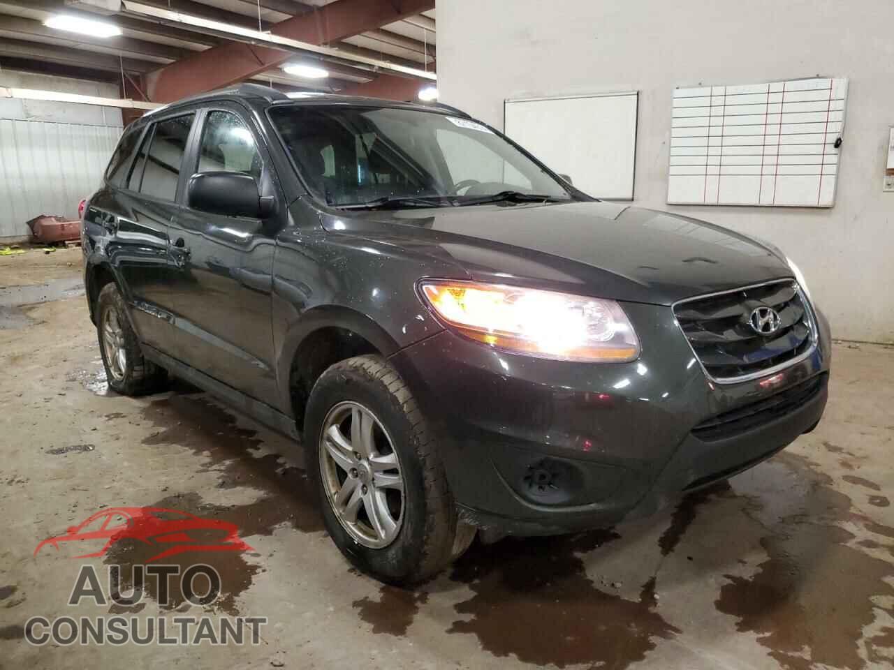 HYUNDAI SANTA FE 2010 - 5NMSGDAB9AH409045