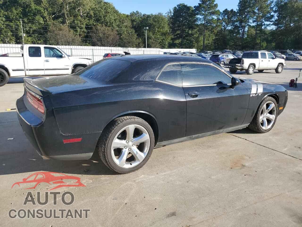 DODGE CHALLENGER 2013 - 2C3CDYBT3DH524241