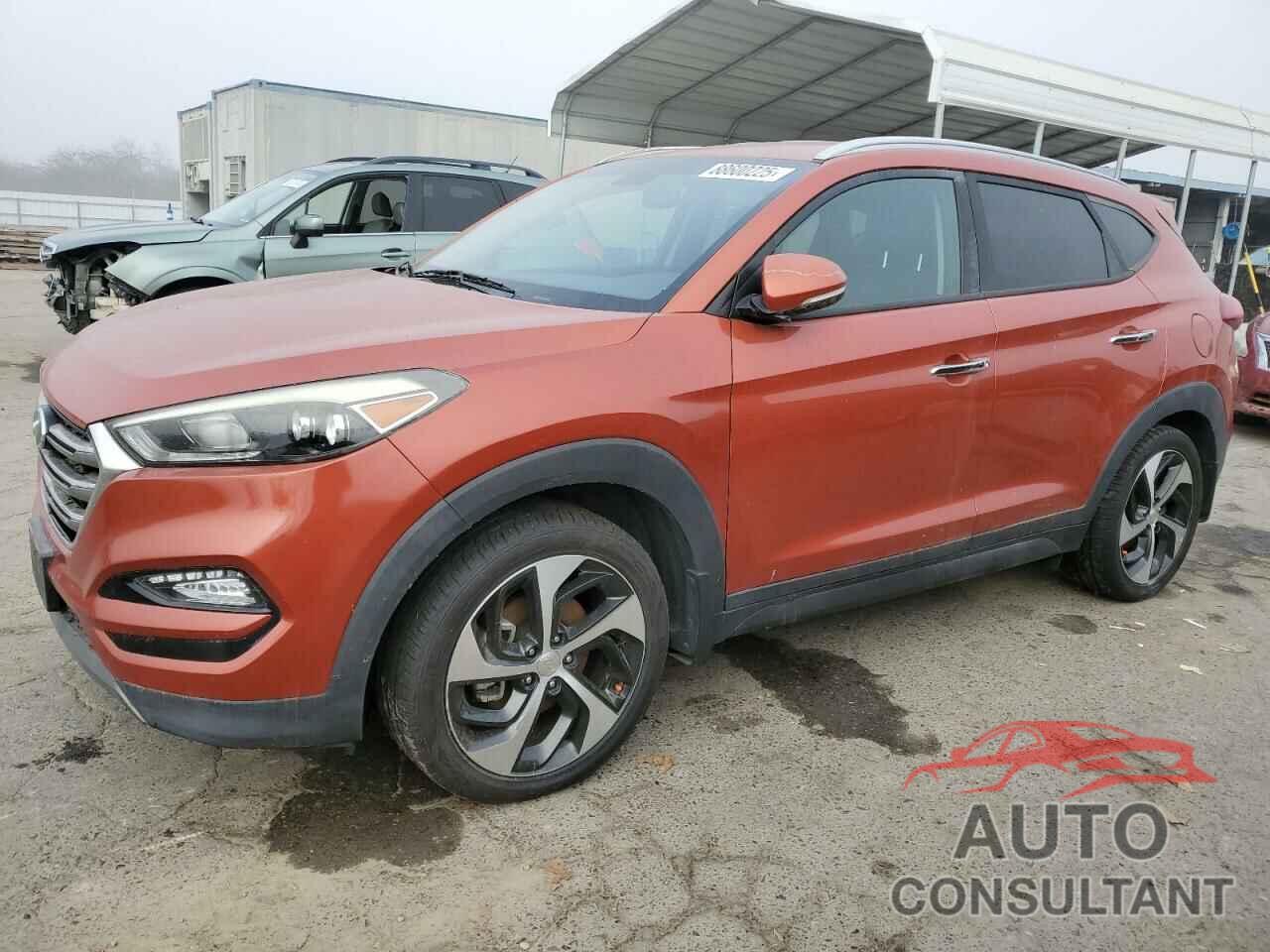 HYUNDAI TUCSON 2016 - KM8J33A27GU208341