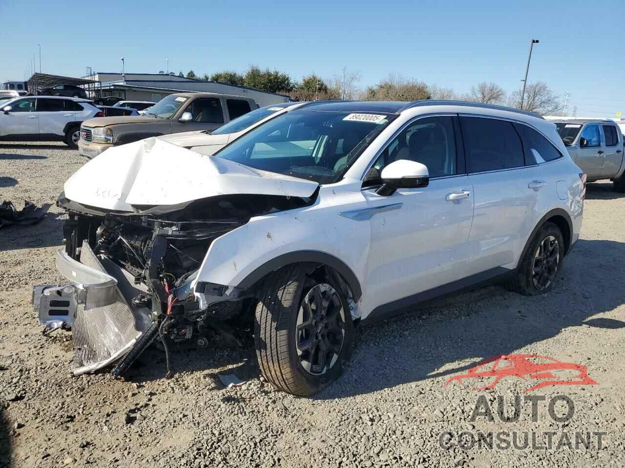 KIA SORENTO 2024 - 5XYRL4JC2RG291106
