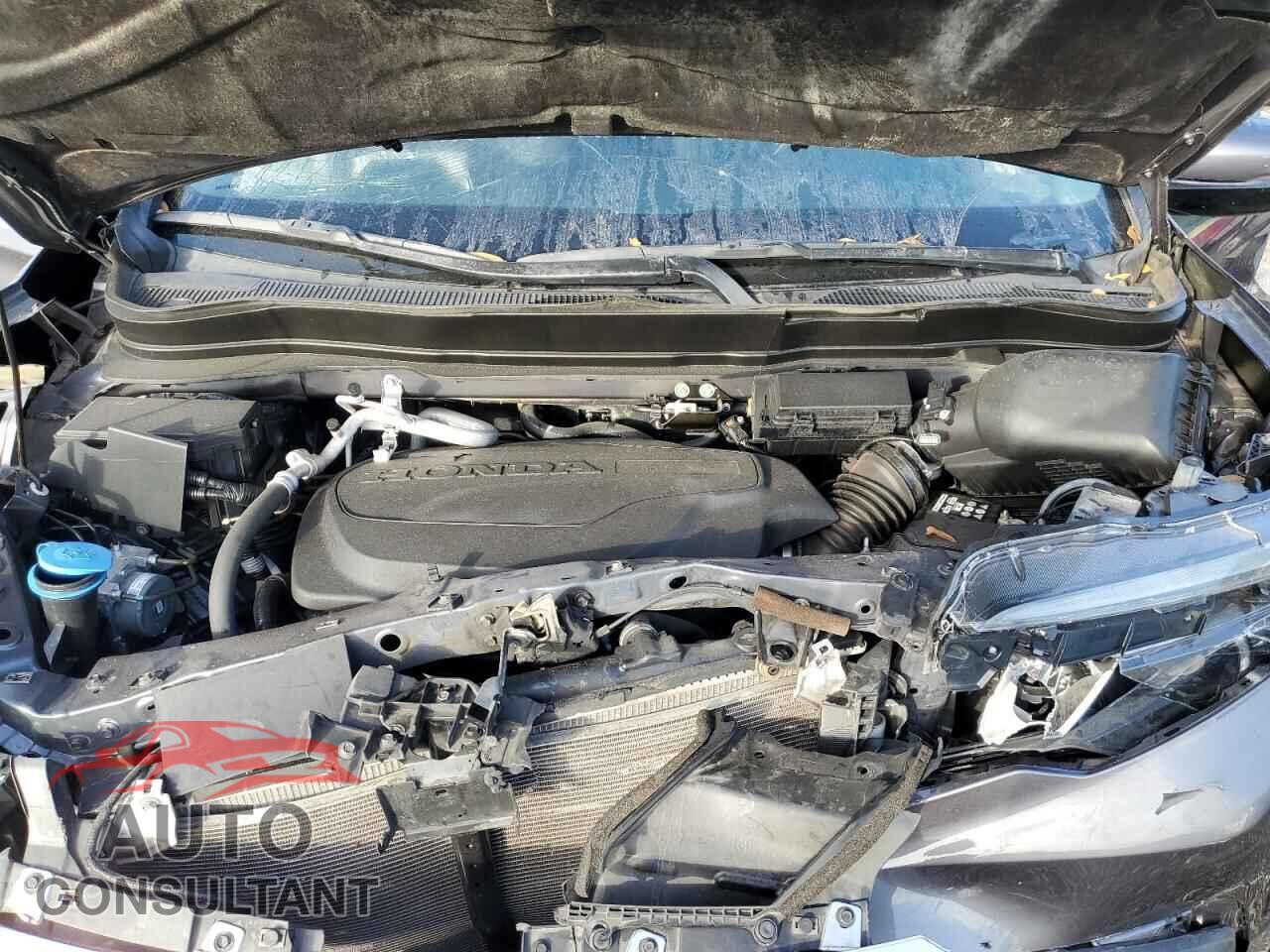 HONDA RIDGELINE 2020 - 5FPYK3F19LB031839