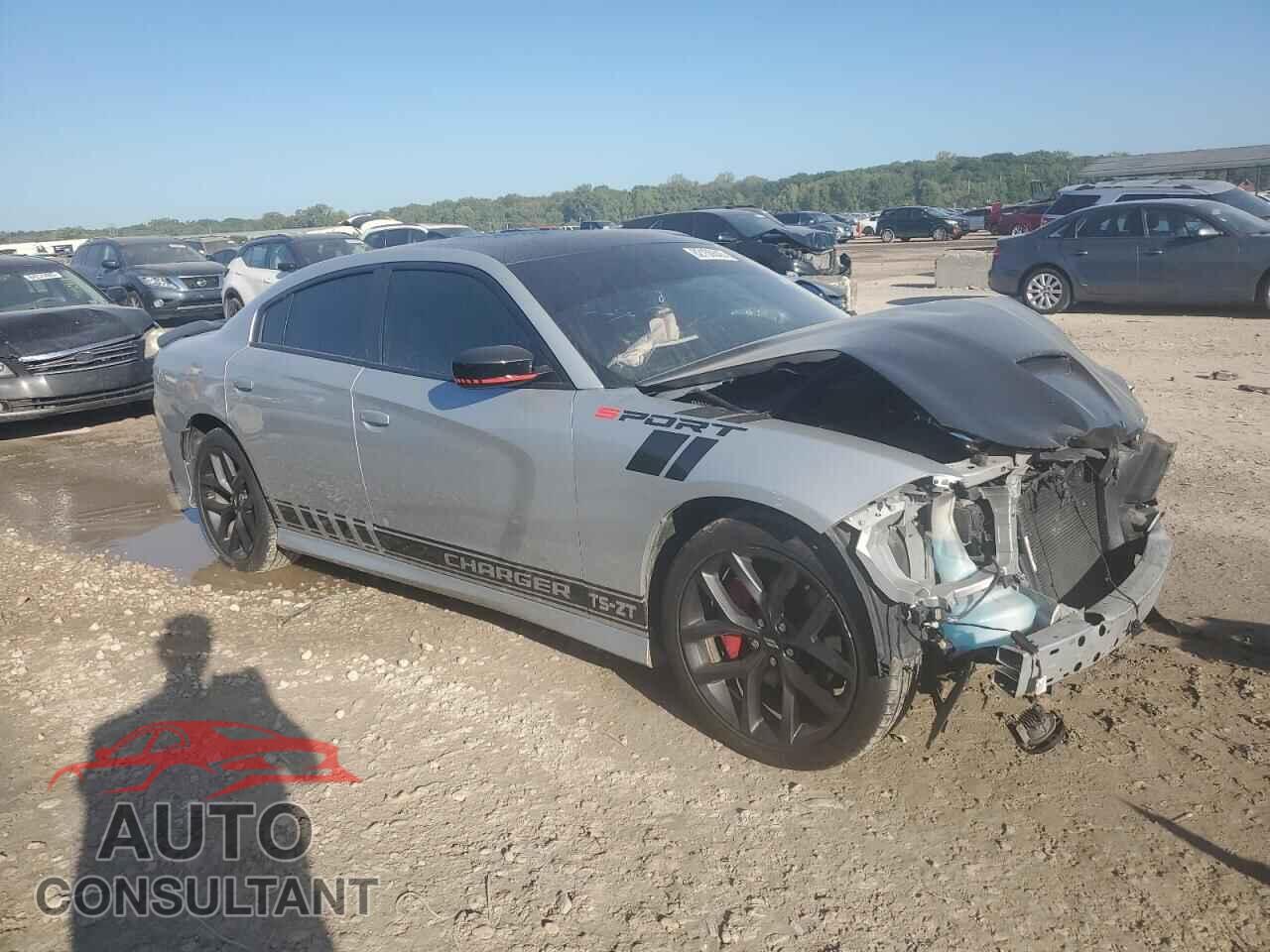 DODGE CHARGER 2019 - 2C3CDXHG1KH663737