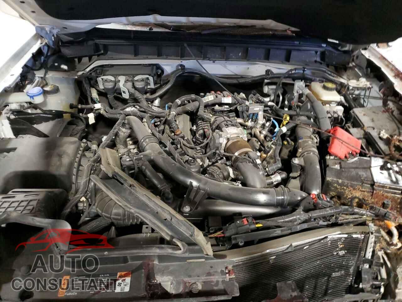 FORD BRONCO 2022 - 1FMEE5BPXNLB50813